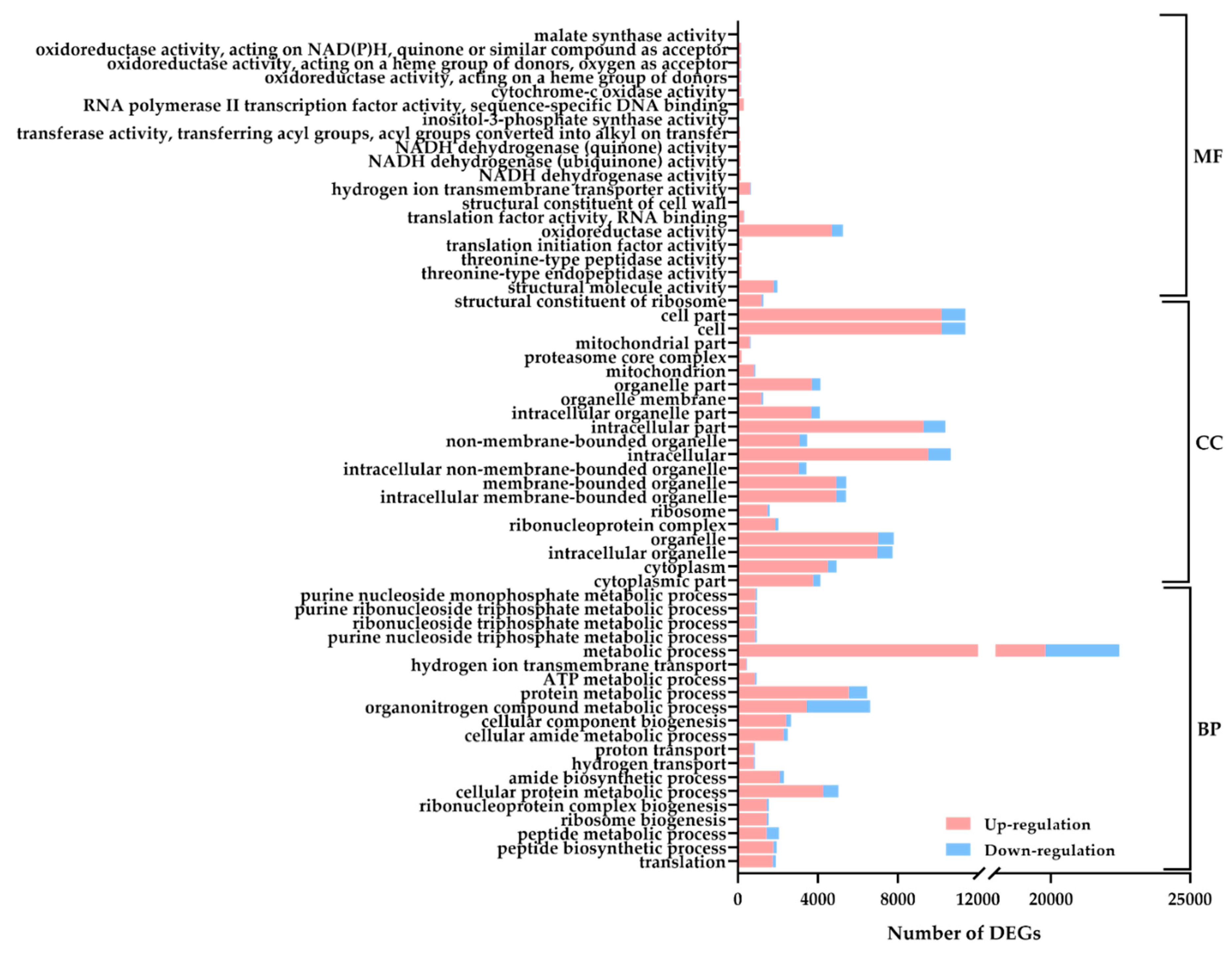 Plants 08 00614 g003 Plants 08 00614 g003
