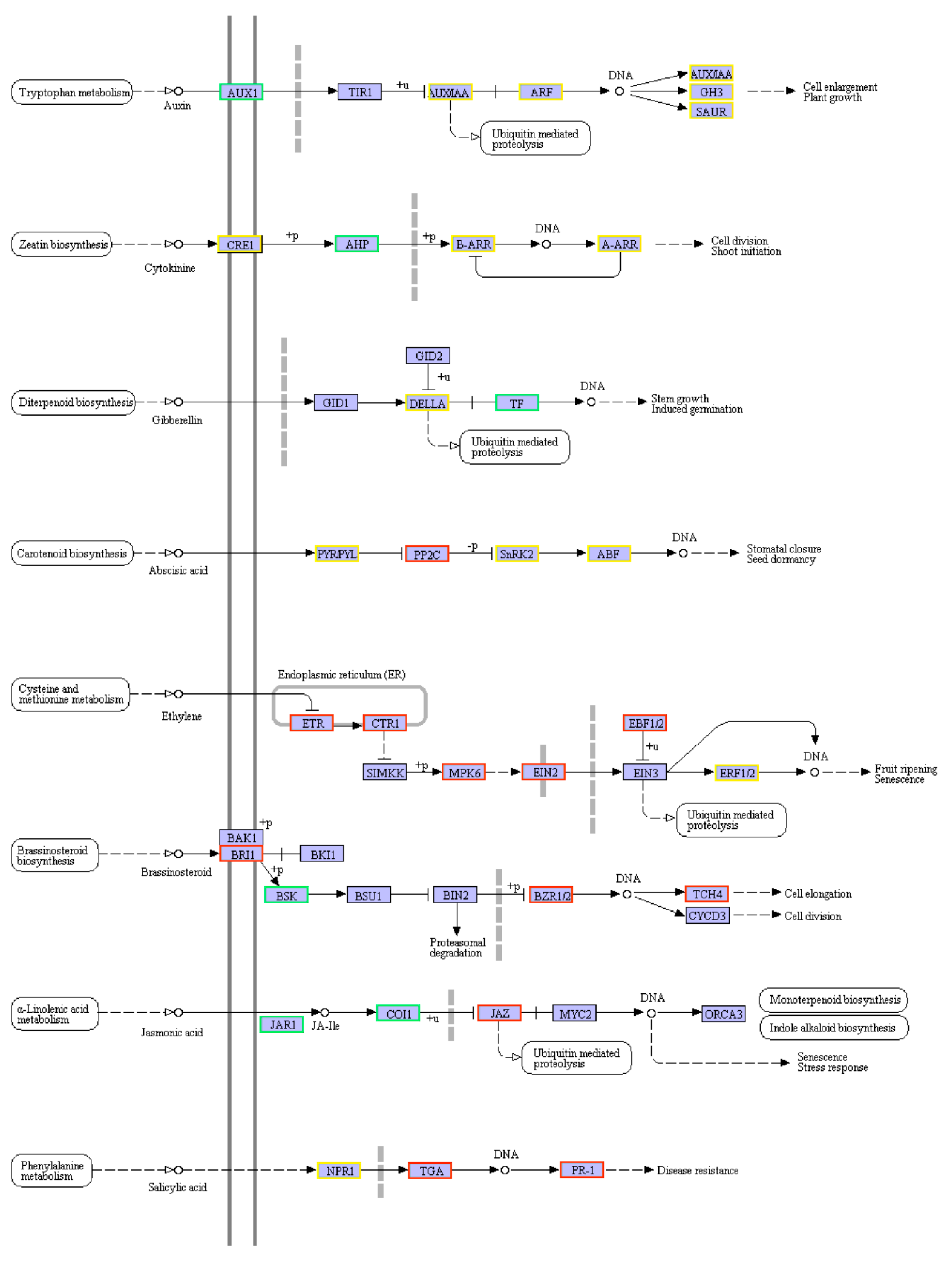 Plants 08 00614 g004 Plants 08 00614 g004