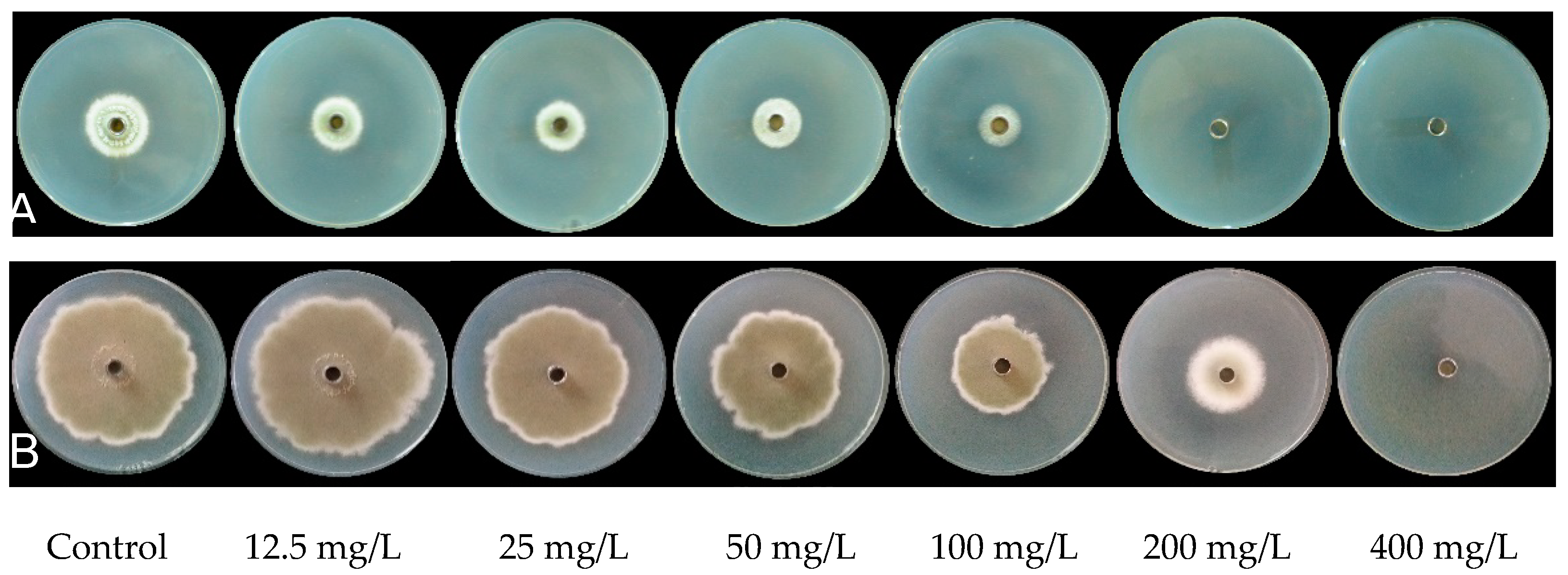 Plants 09 00017 g002