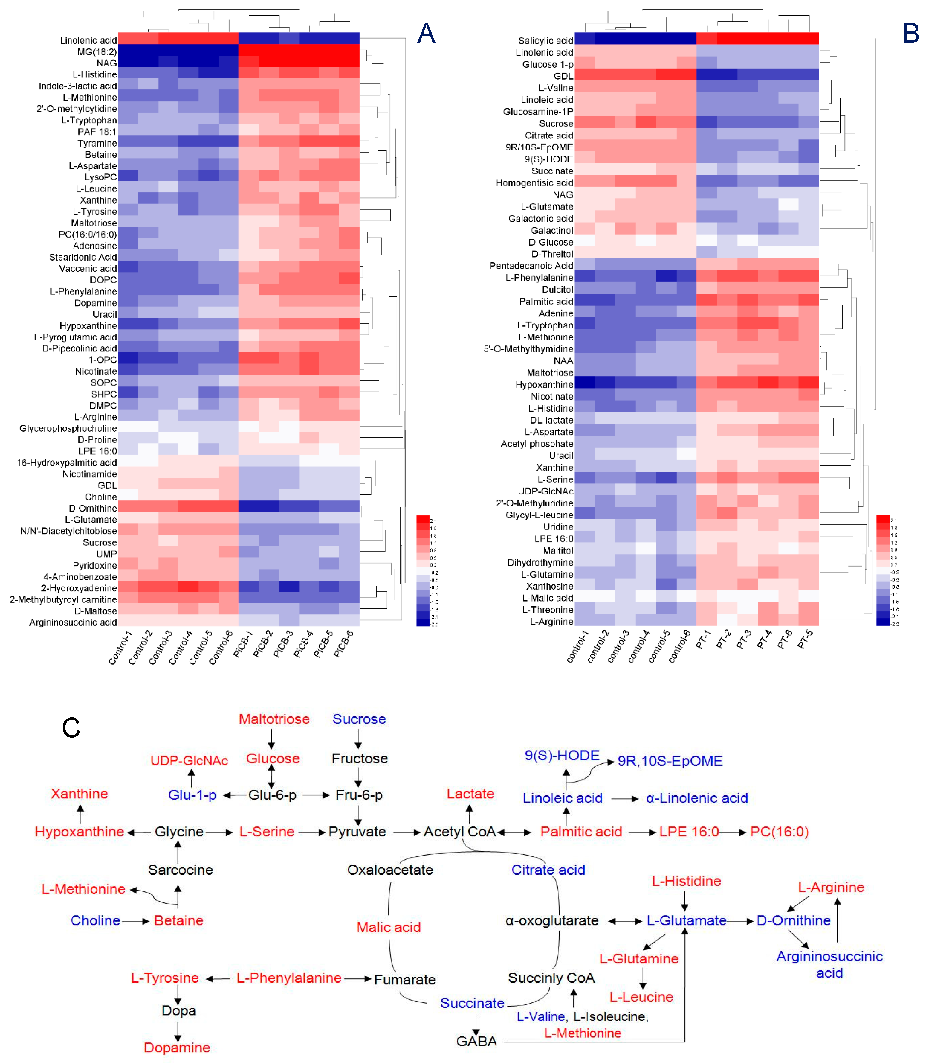 Plants 09 00017 g004