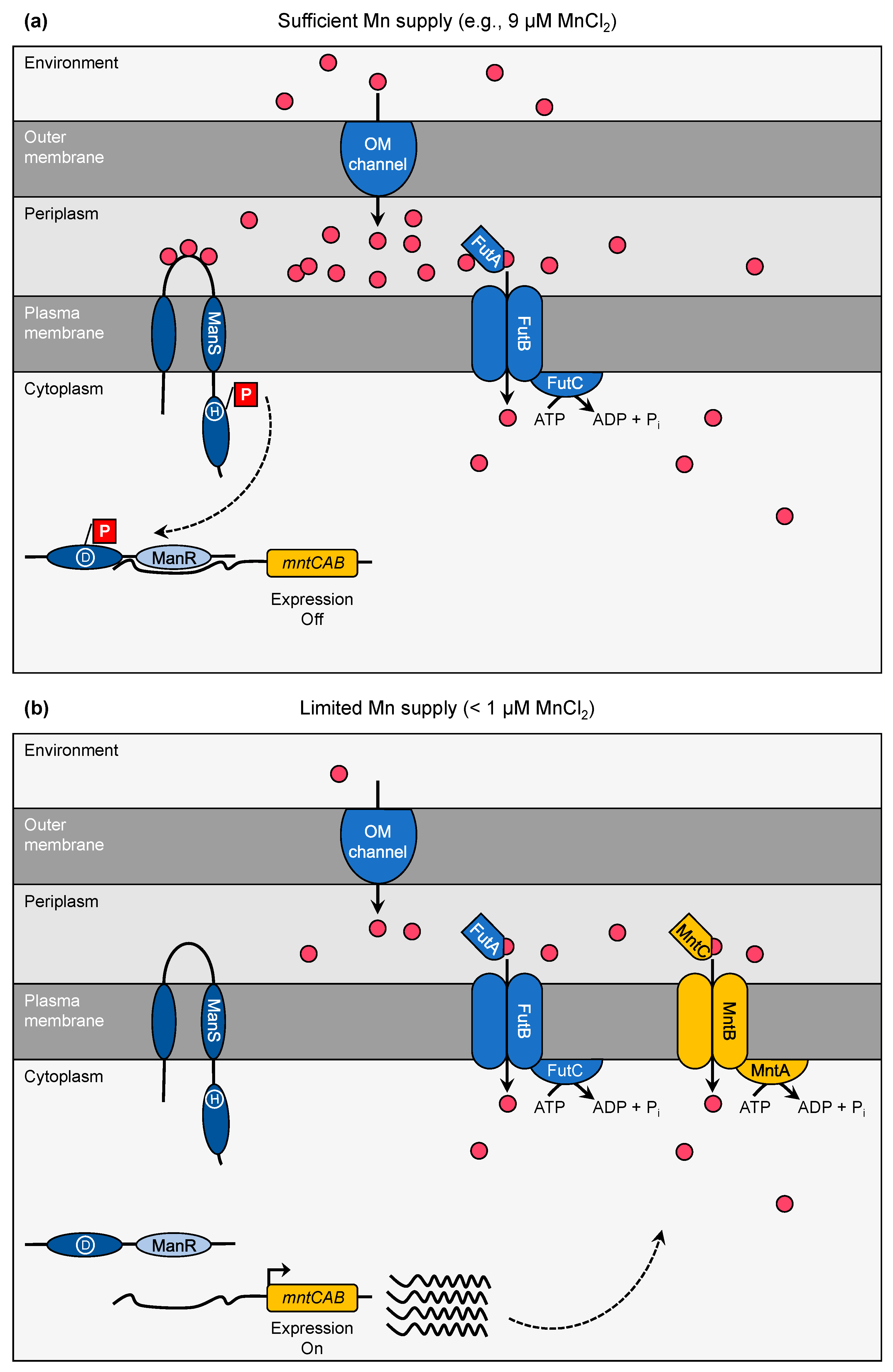 Plants 09 00018 g002 Plants 09 00018 g002