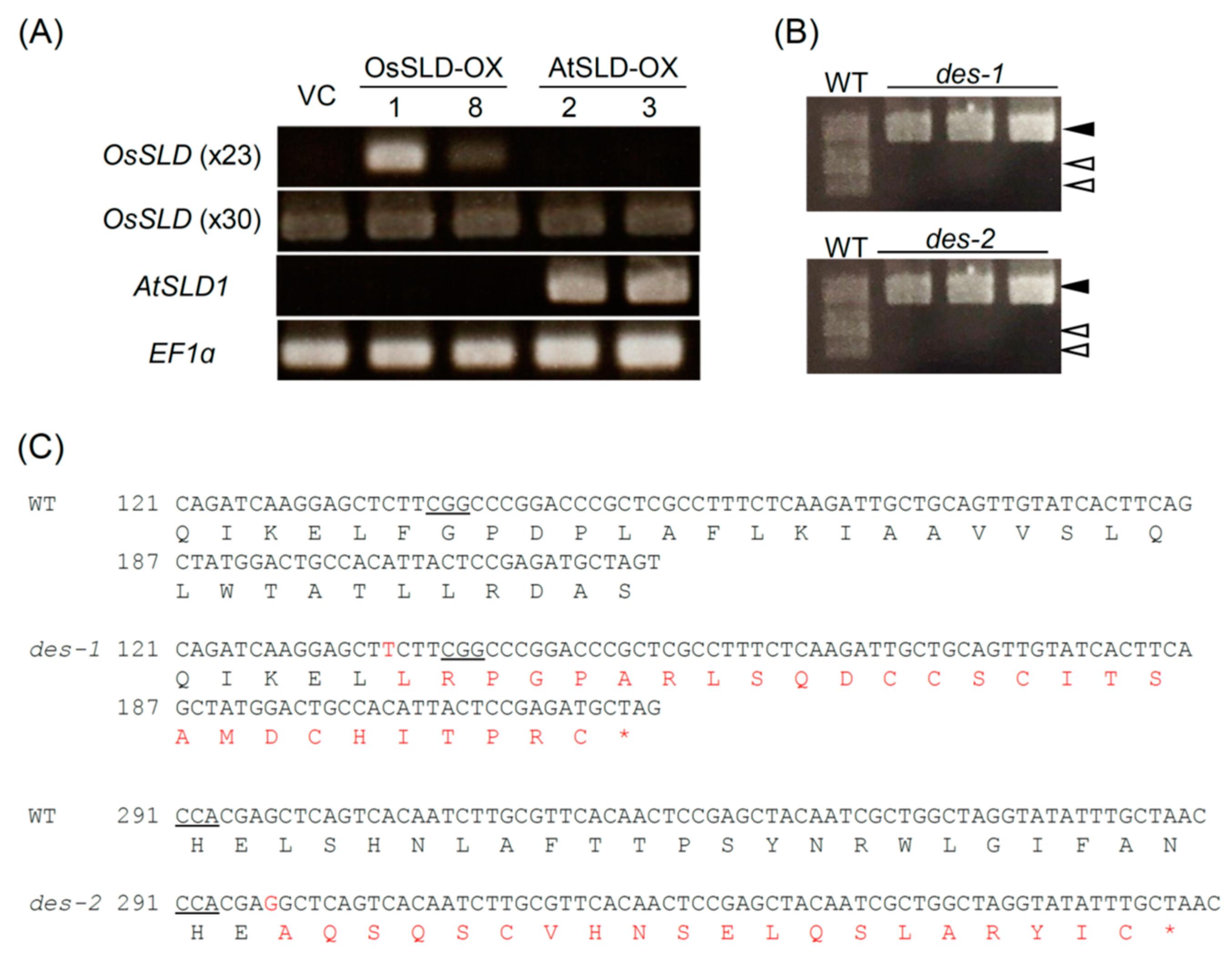 Plants 09 00019 g002