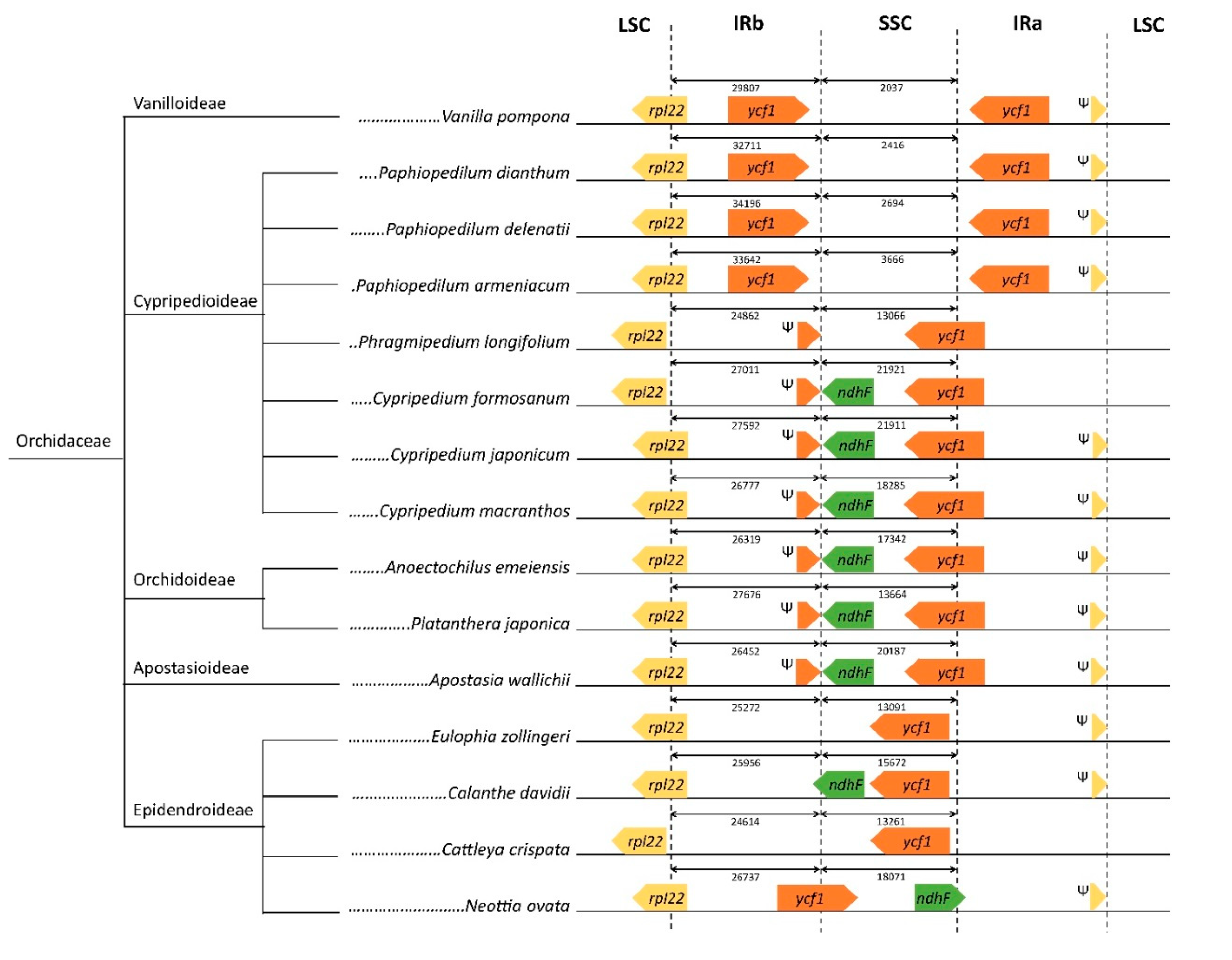 Plants 09 00061 g002