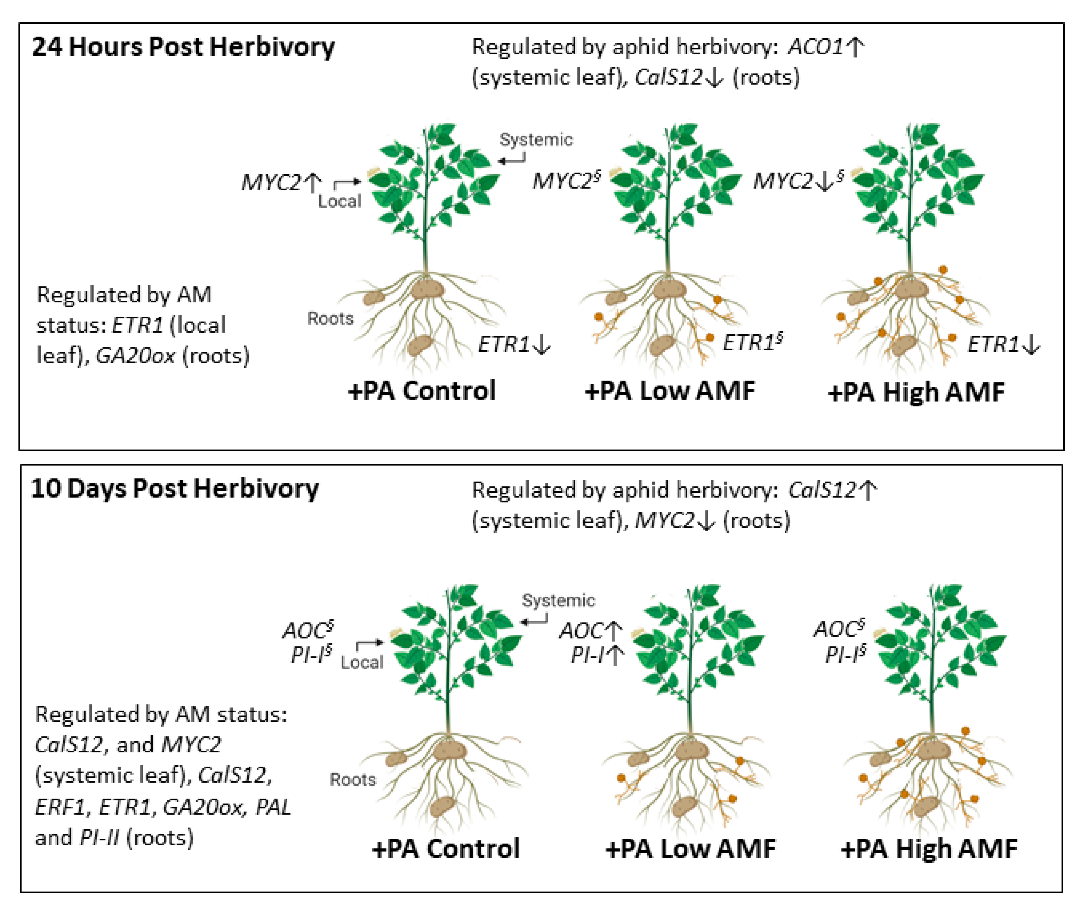 Plants 09 00082 g008 Plants 09 00082 g008
