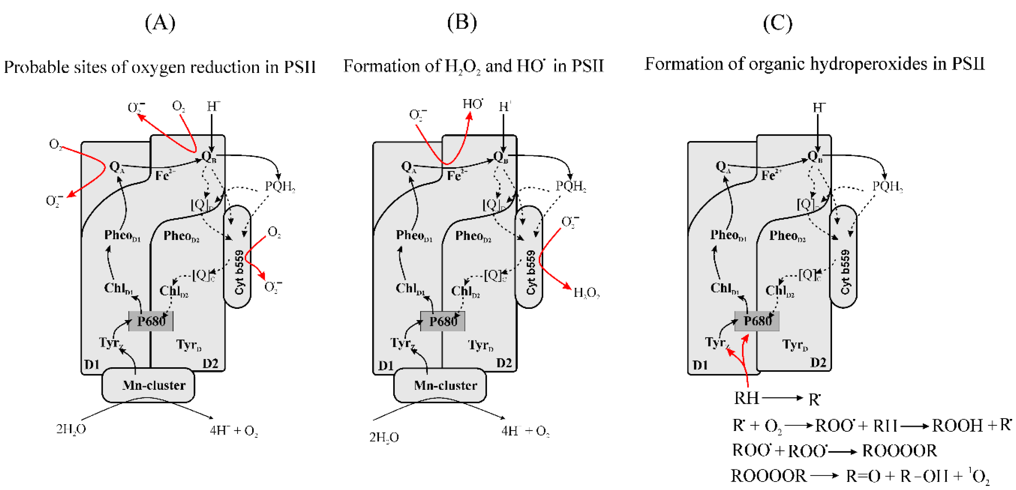 Plants 09 00091 g002
