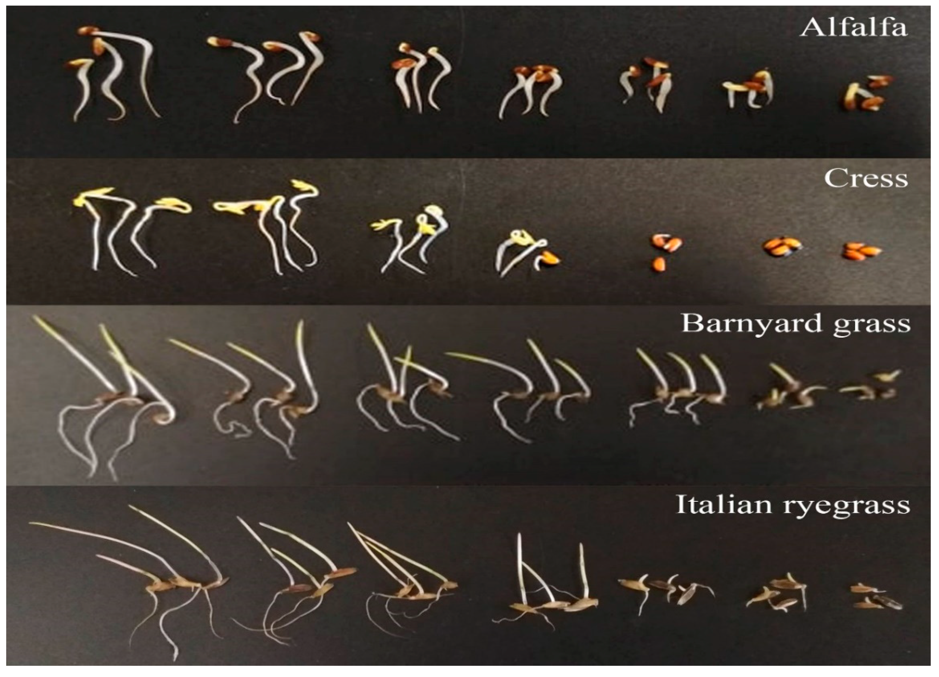 Plants 09 00102 g002