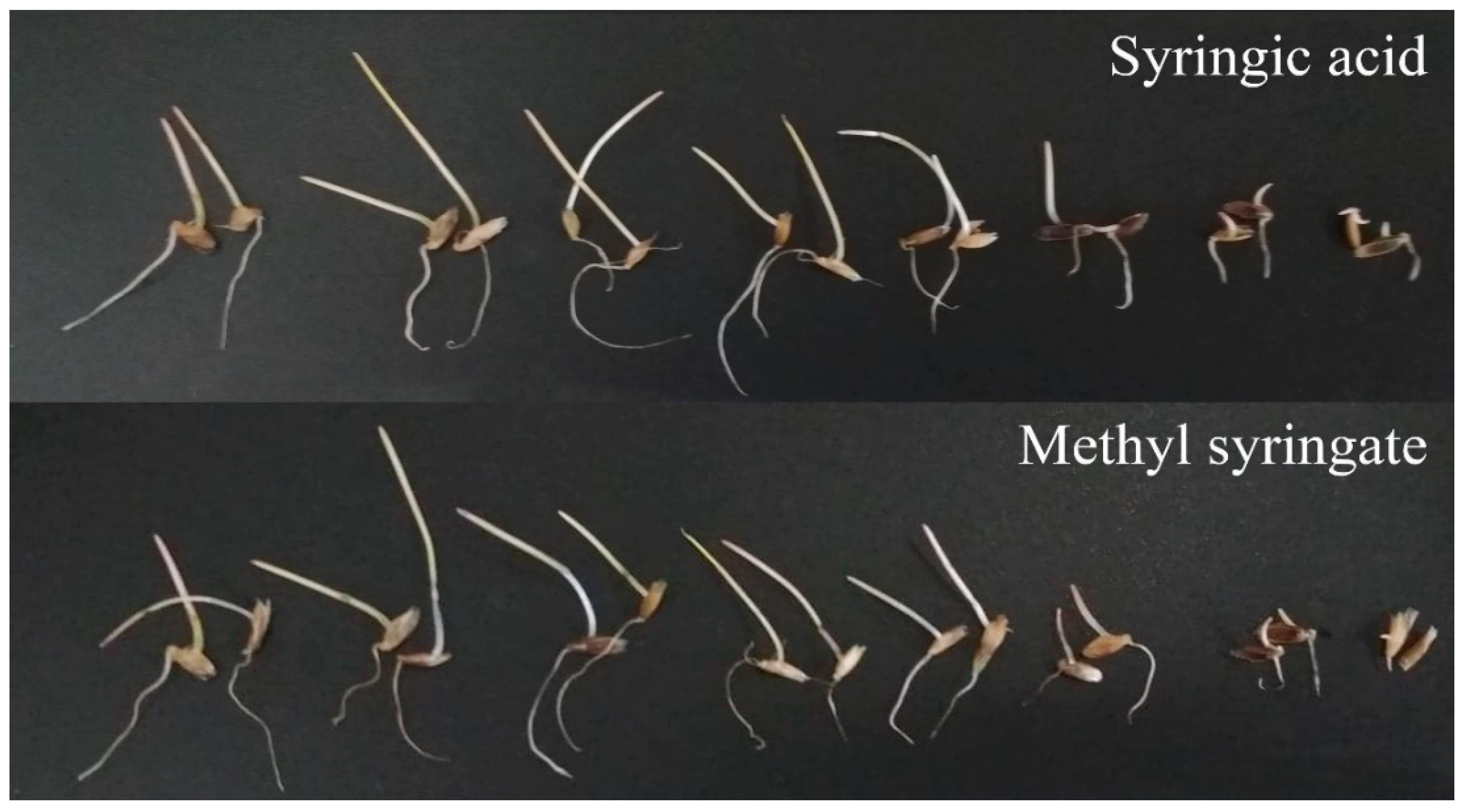 Plants 09 00102 g007