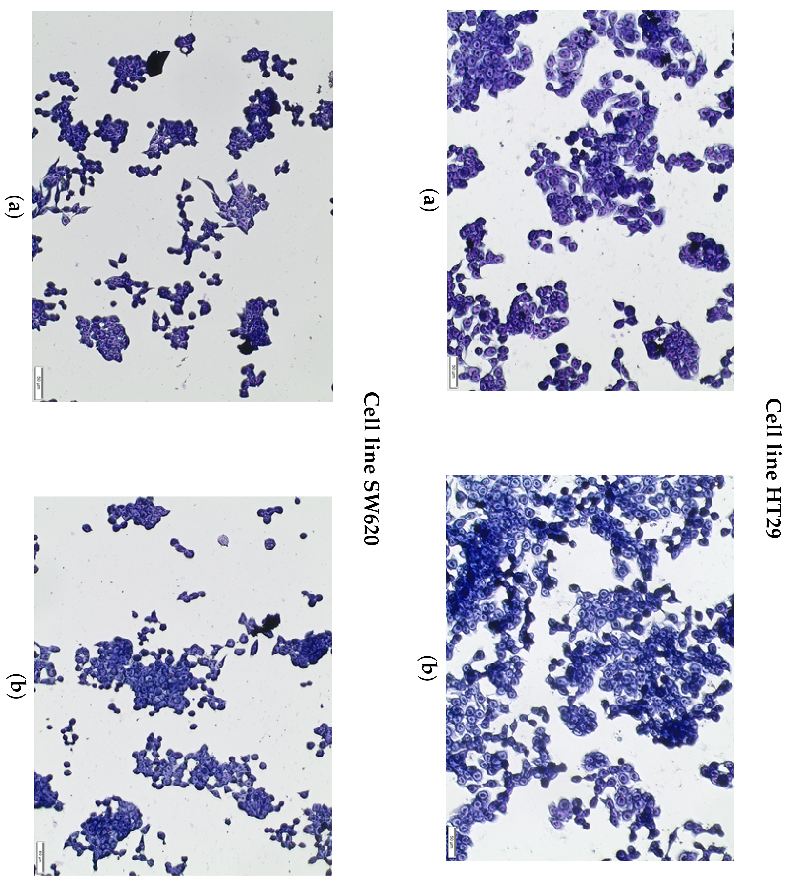 Plants 09 00103 g004