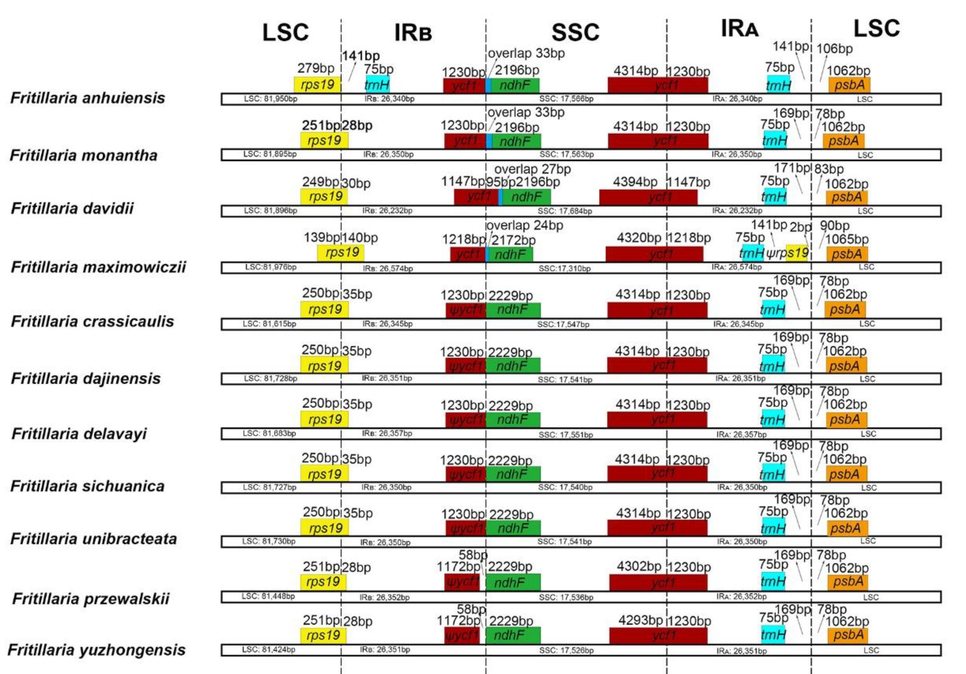 Plants 09 00133 g002