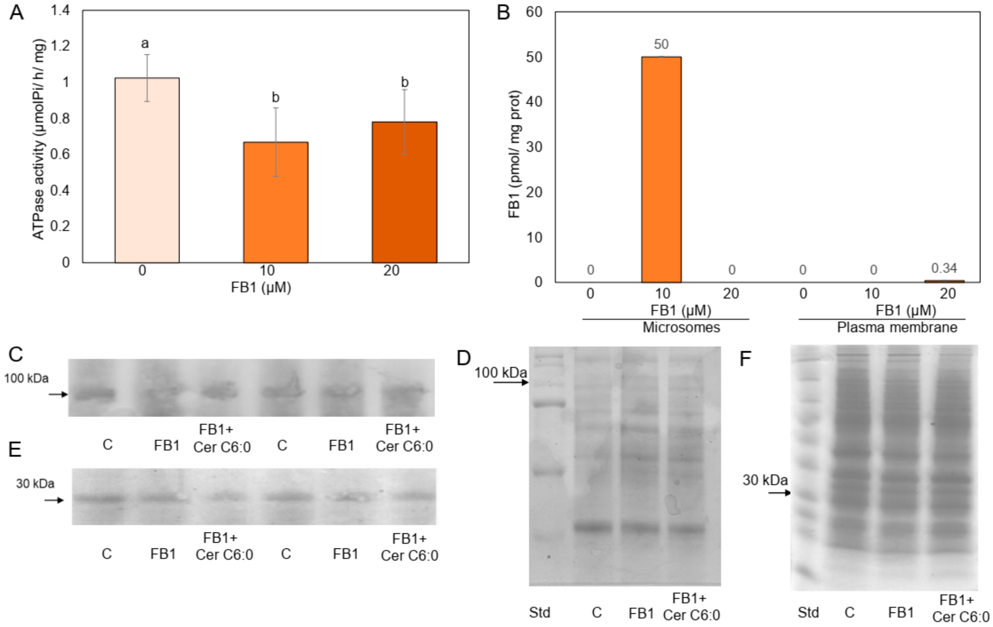 Plants 09 00150 g001