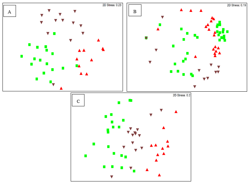 Plants 09 00156 g001