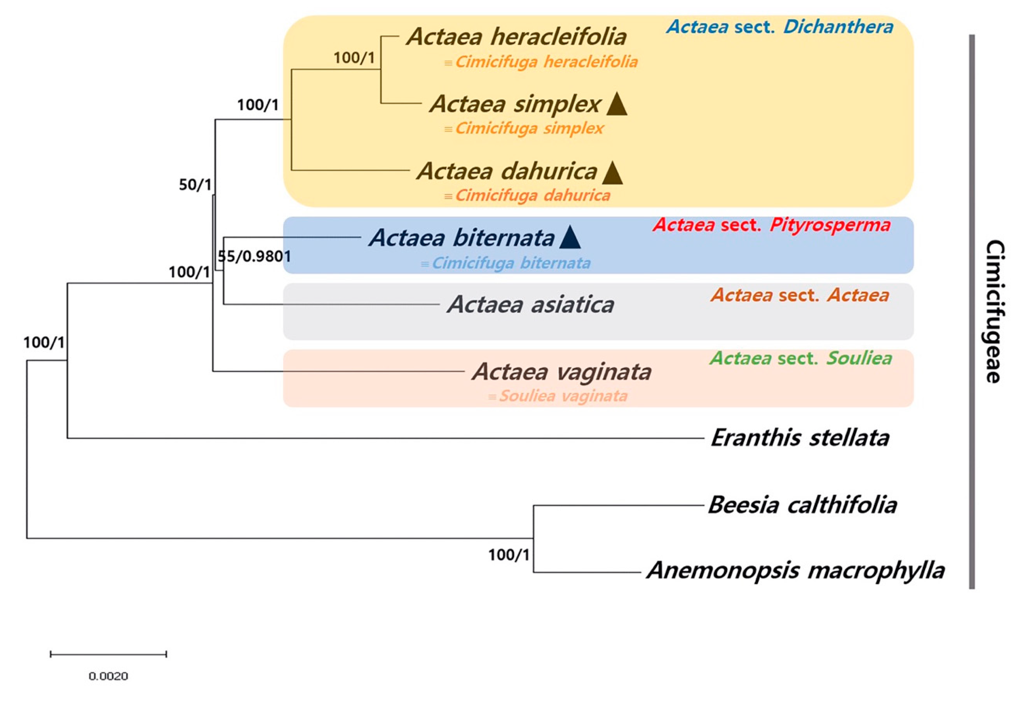 Plants 09 00157 g004 Plants 09 00157 g004