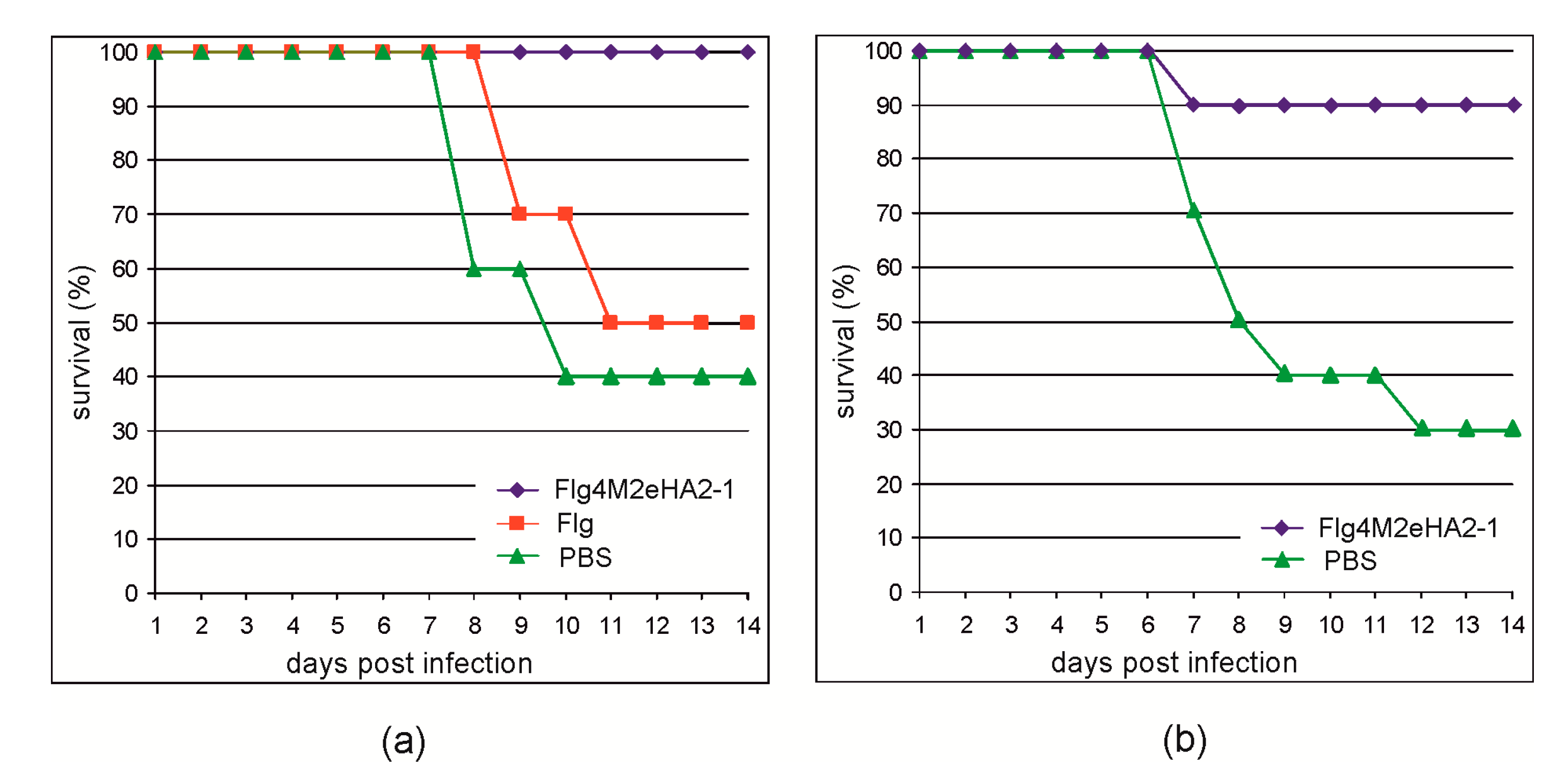 Plants 09 00162 g006