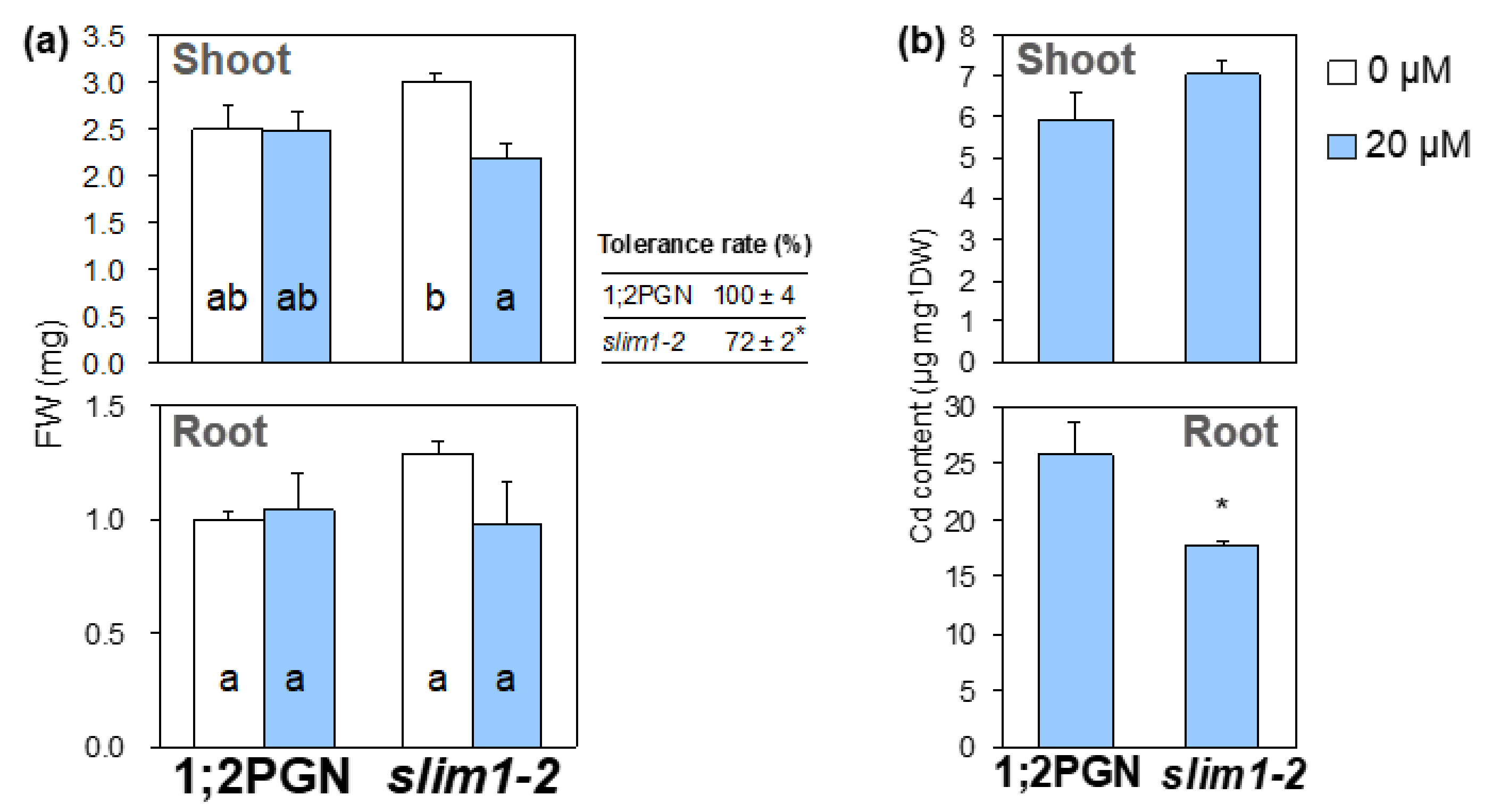 Plants 09 00163 g001