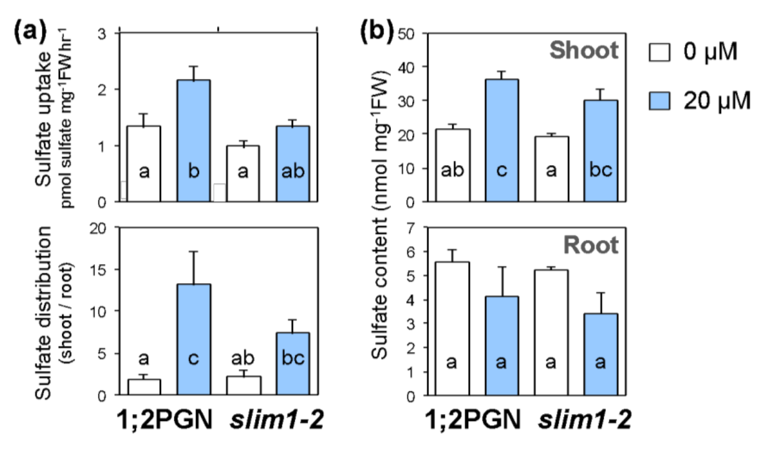 Plants 09 00163 g002