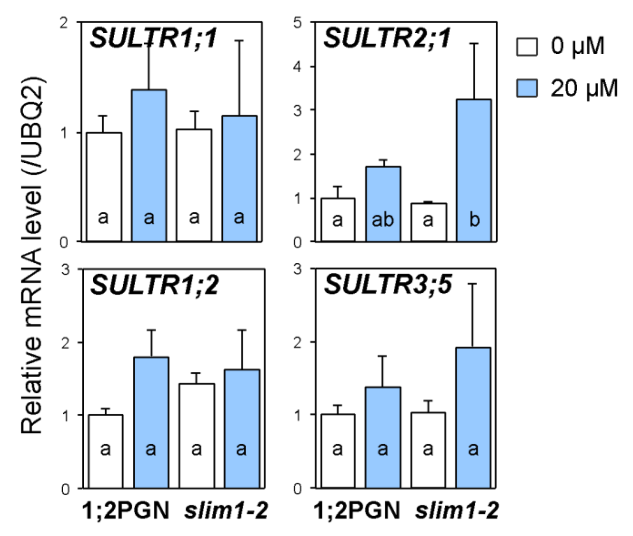 Plants 09 00163 g003