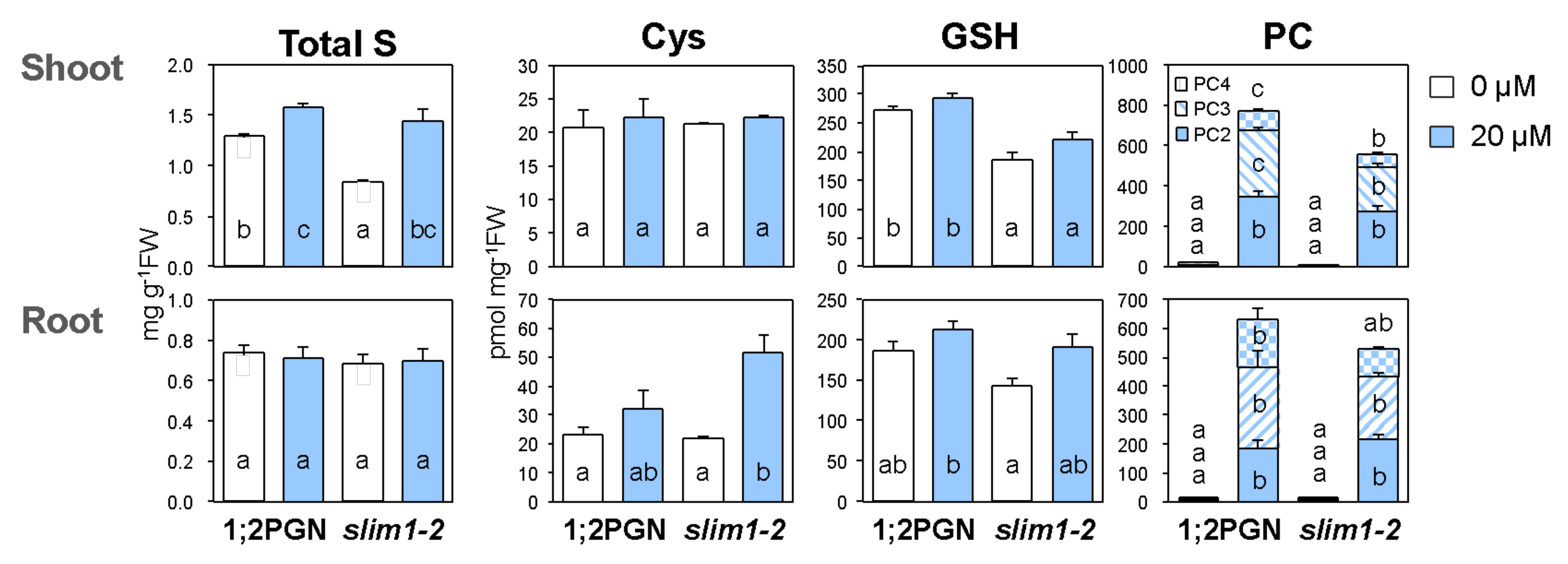 Plants 09 00163 g004