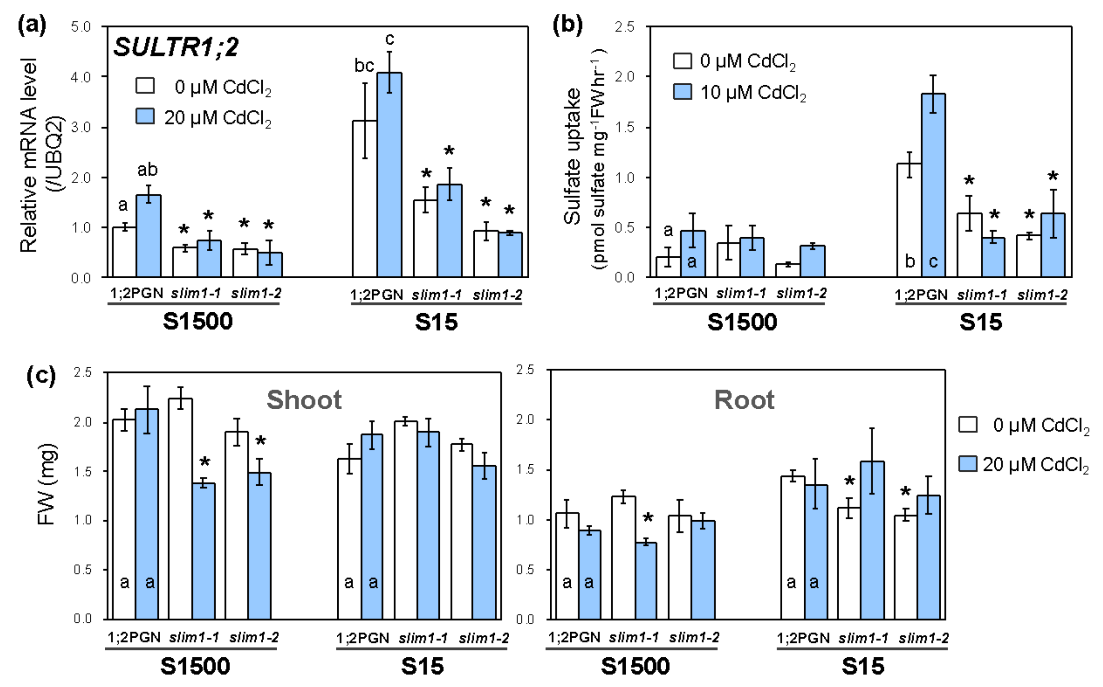 Plants 09 00163 g006