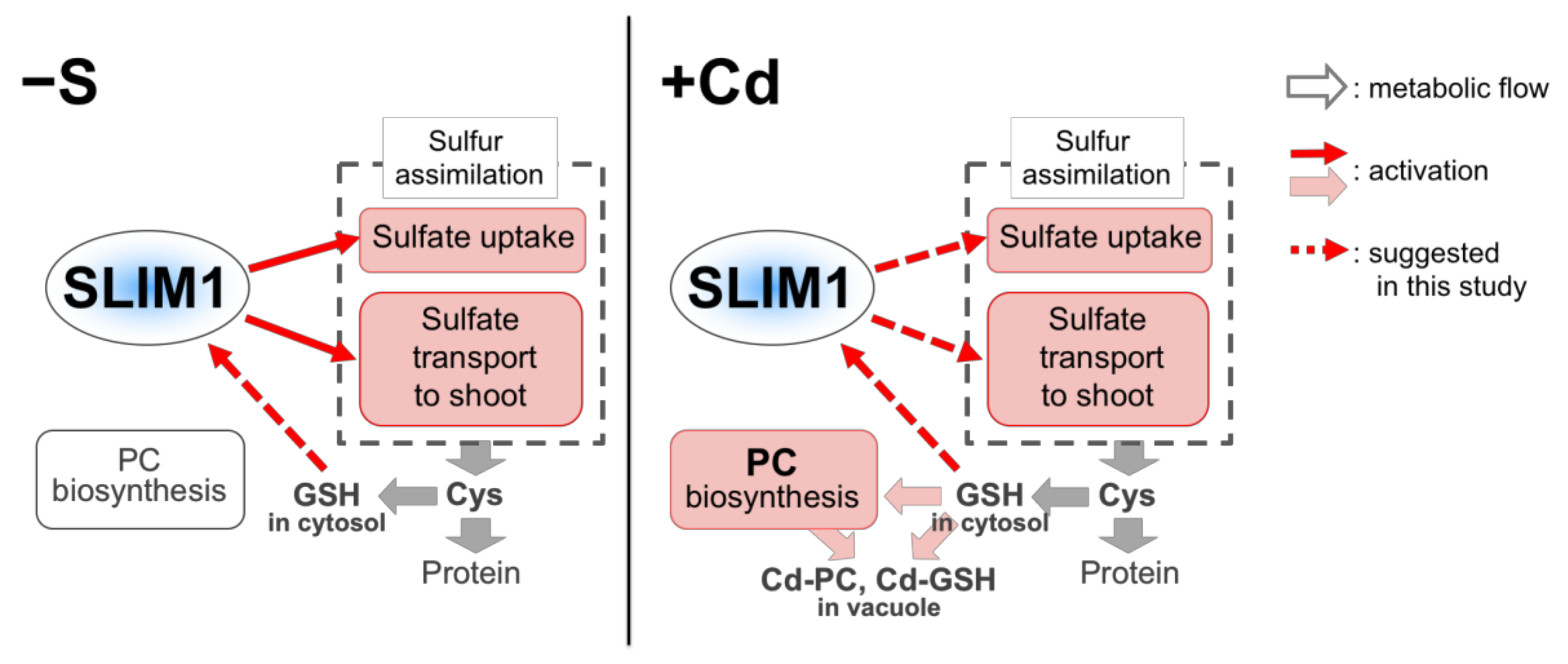 Plants 09 00163 g008