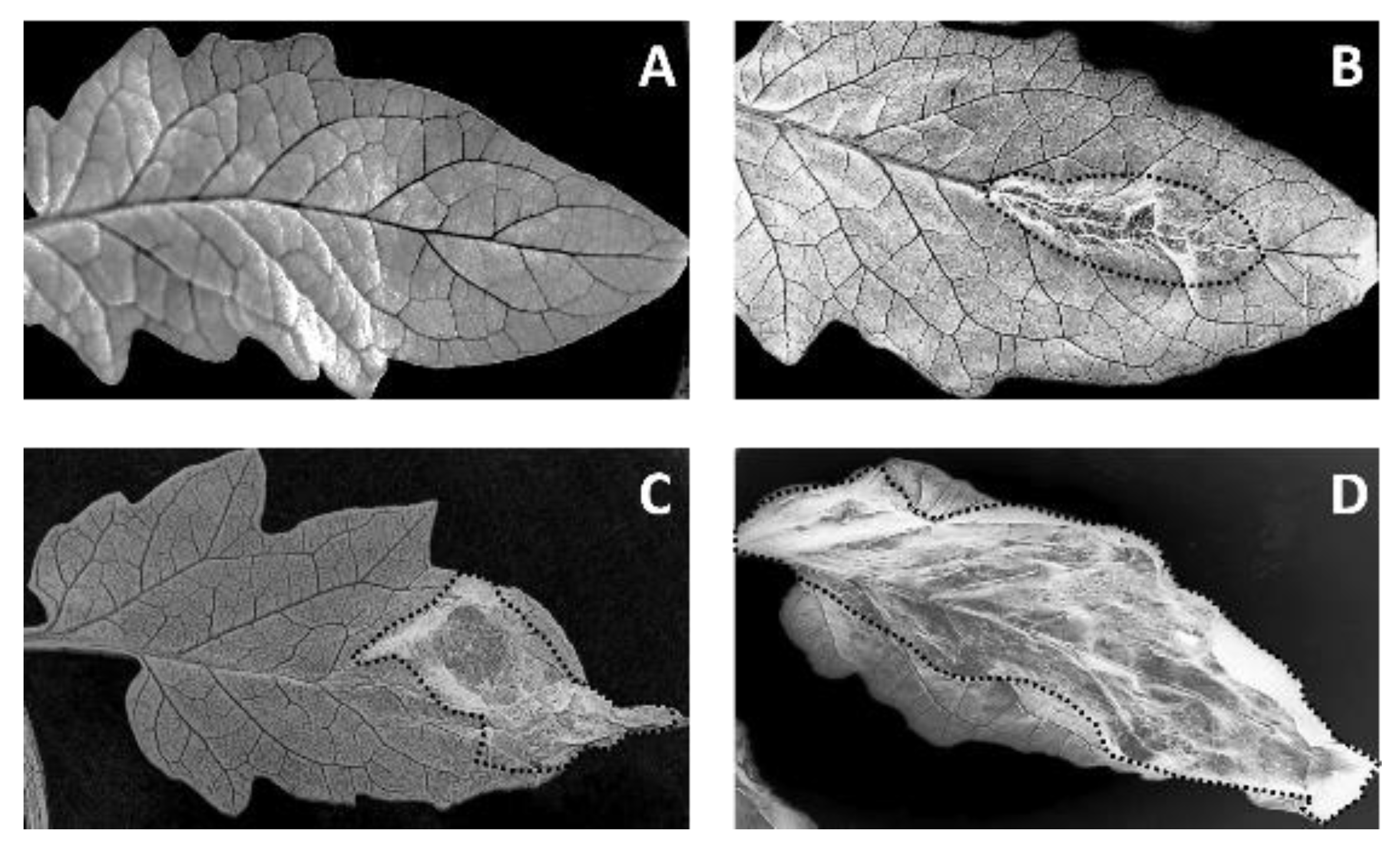 Plants 09 00168 g009