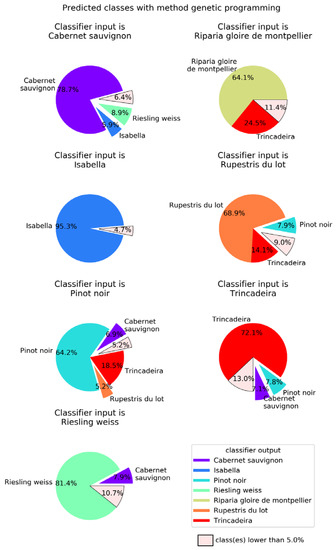 Plants Free Full Text Using Rapid Chlorophyll Fluorescence Transients To Classify Vitis Genotypes Html