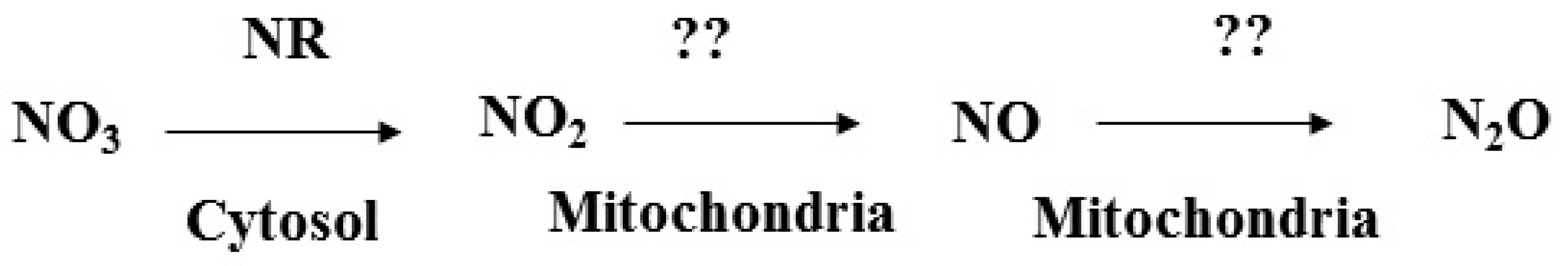 Plants 09 00180 g001