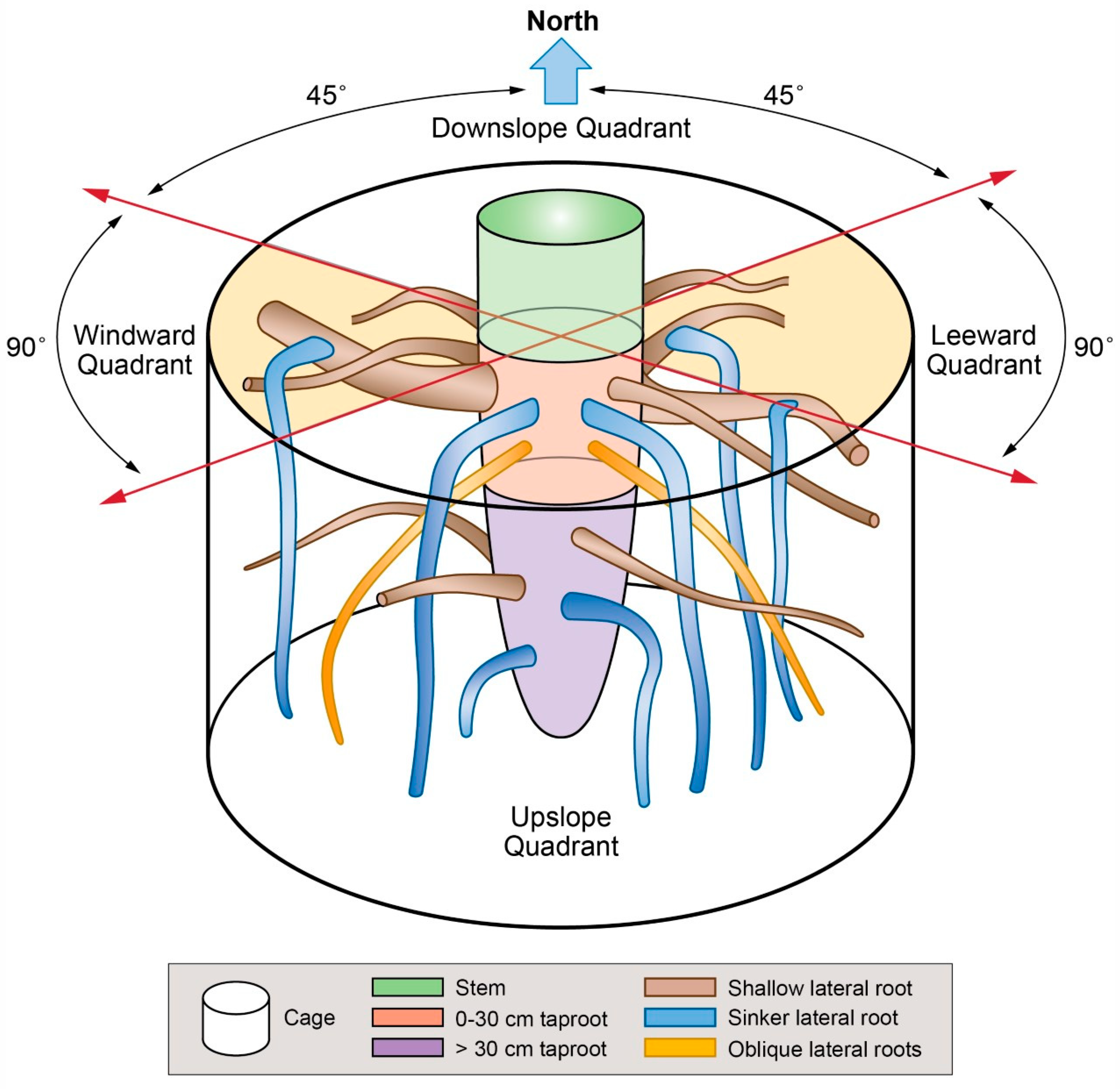 Plants 09 00181 g001