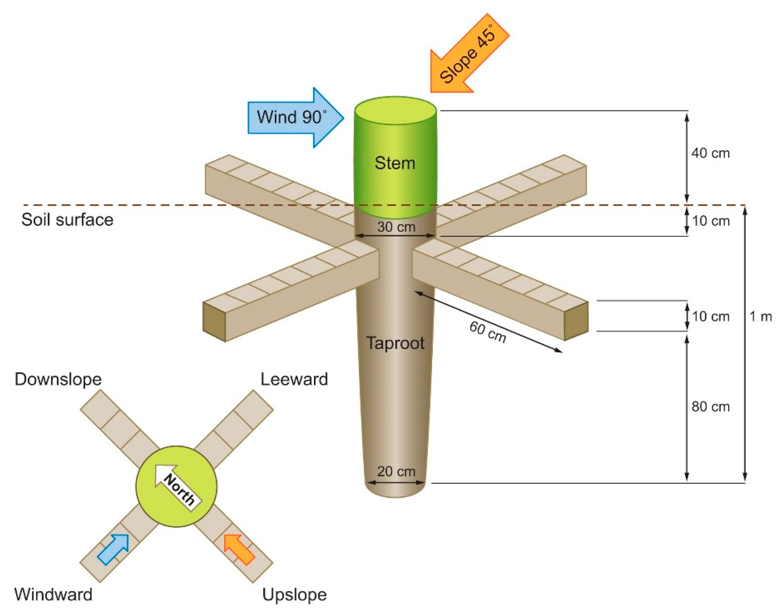 Plants 09 00181 g003