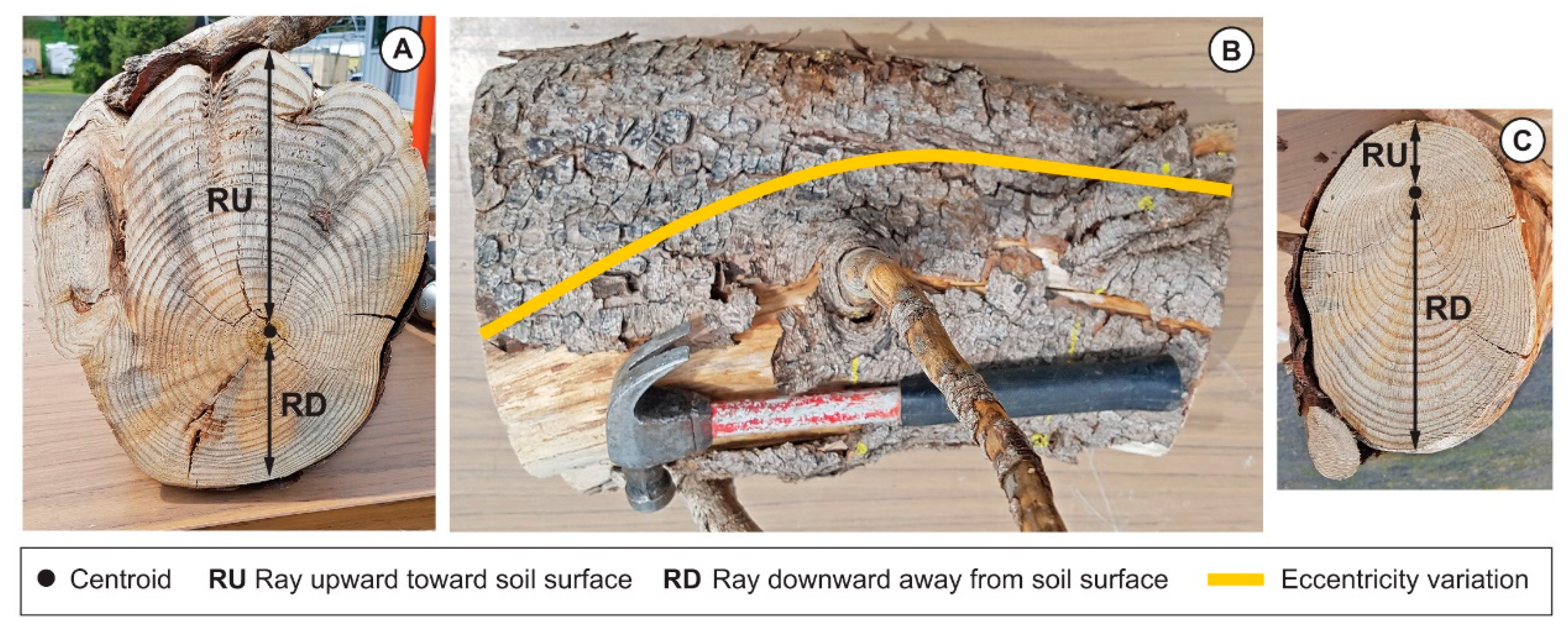 Plants 09 00181 g006
