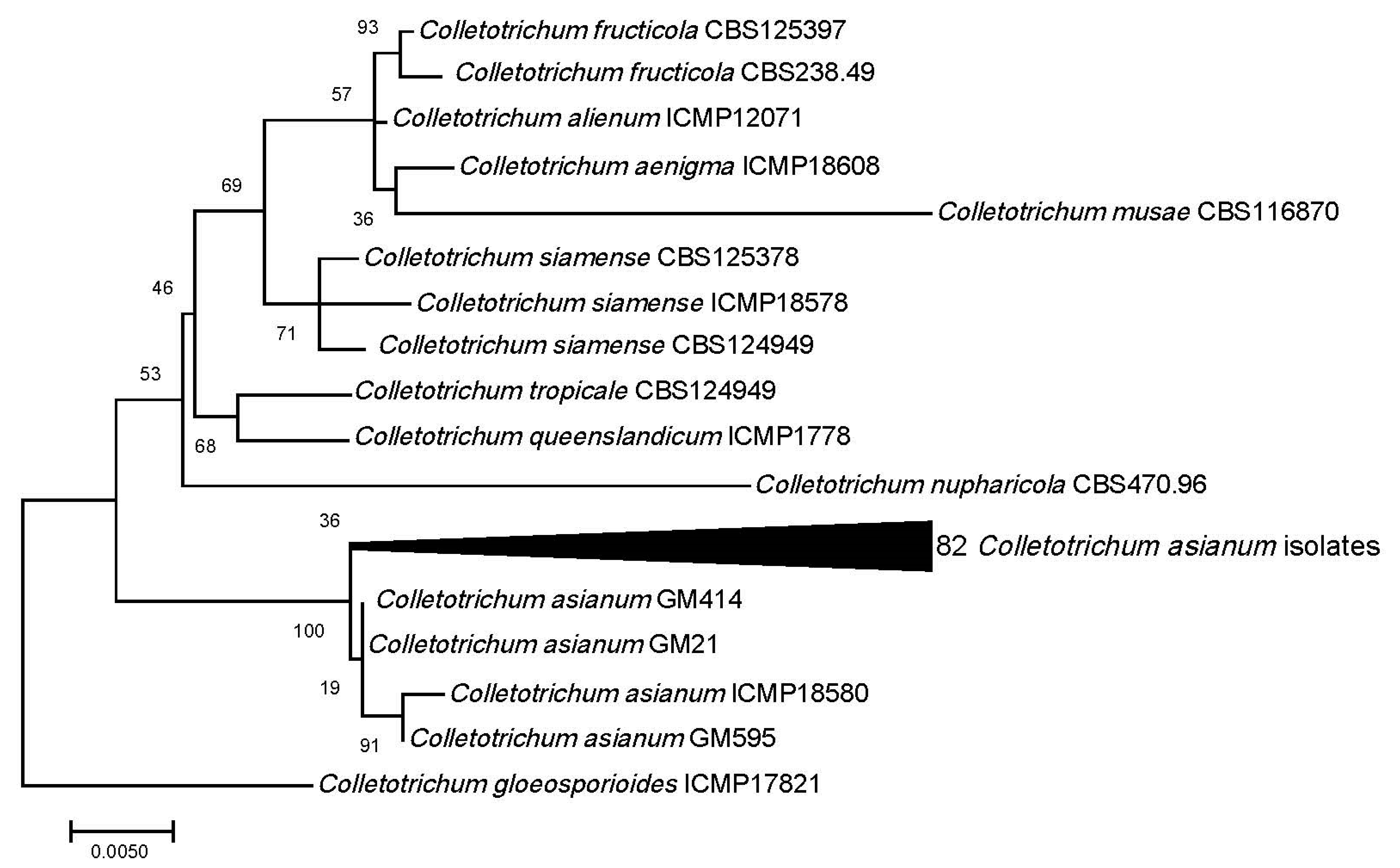 Plants 09 00182 g002 Plants 09 00182 g002