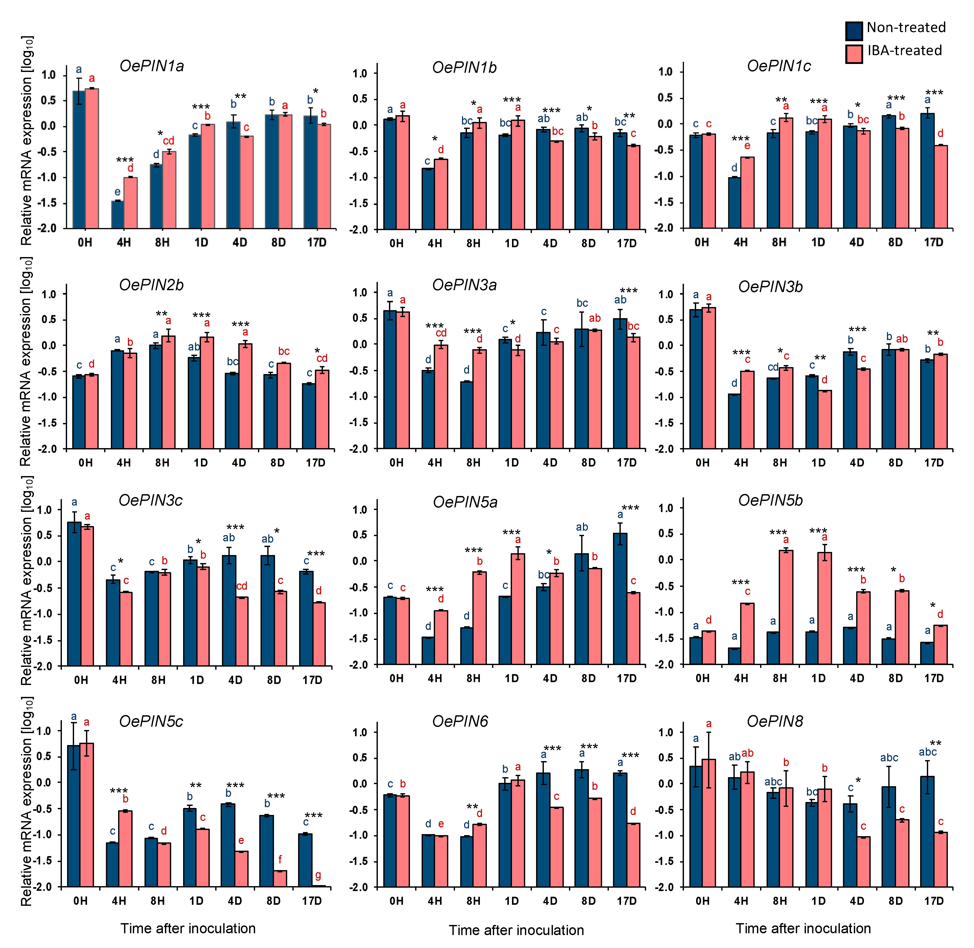 Plants Free Full Text Expression Profile Of Pin Formed Auxin Efflux Carrier Genes During Iba Induced In Vitro Adventitious Rooting In Olea Europaea L Html