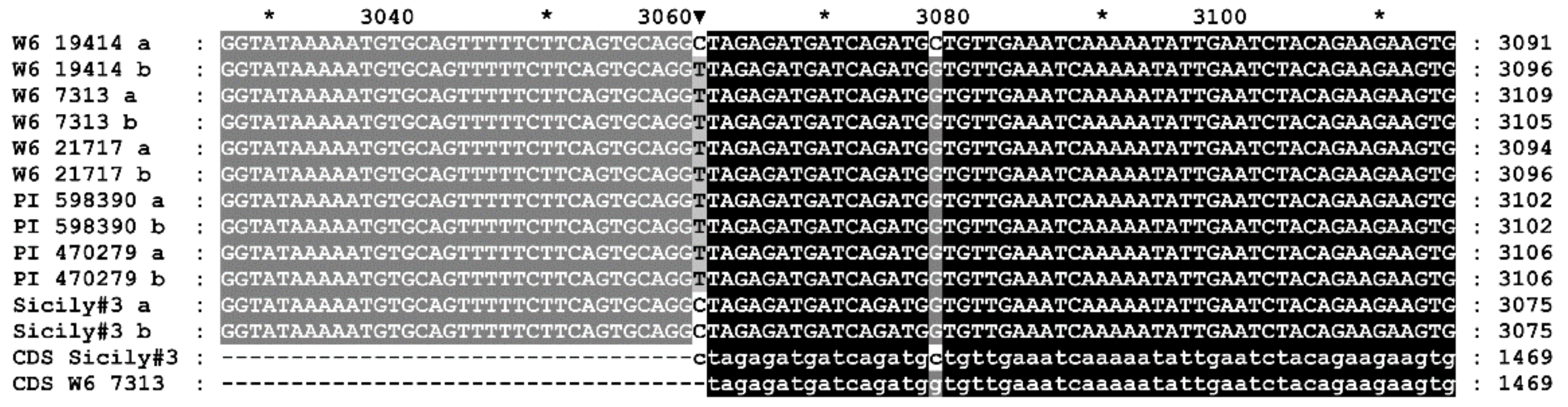 Plants 09 00186 g001 Plants 09 00186 g001