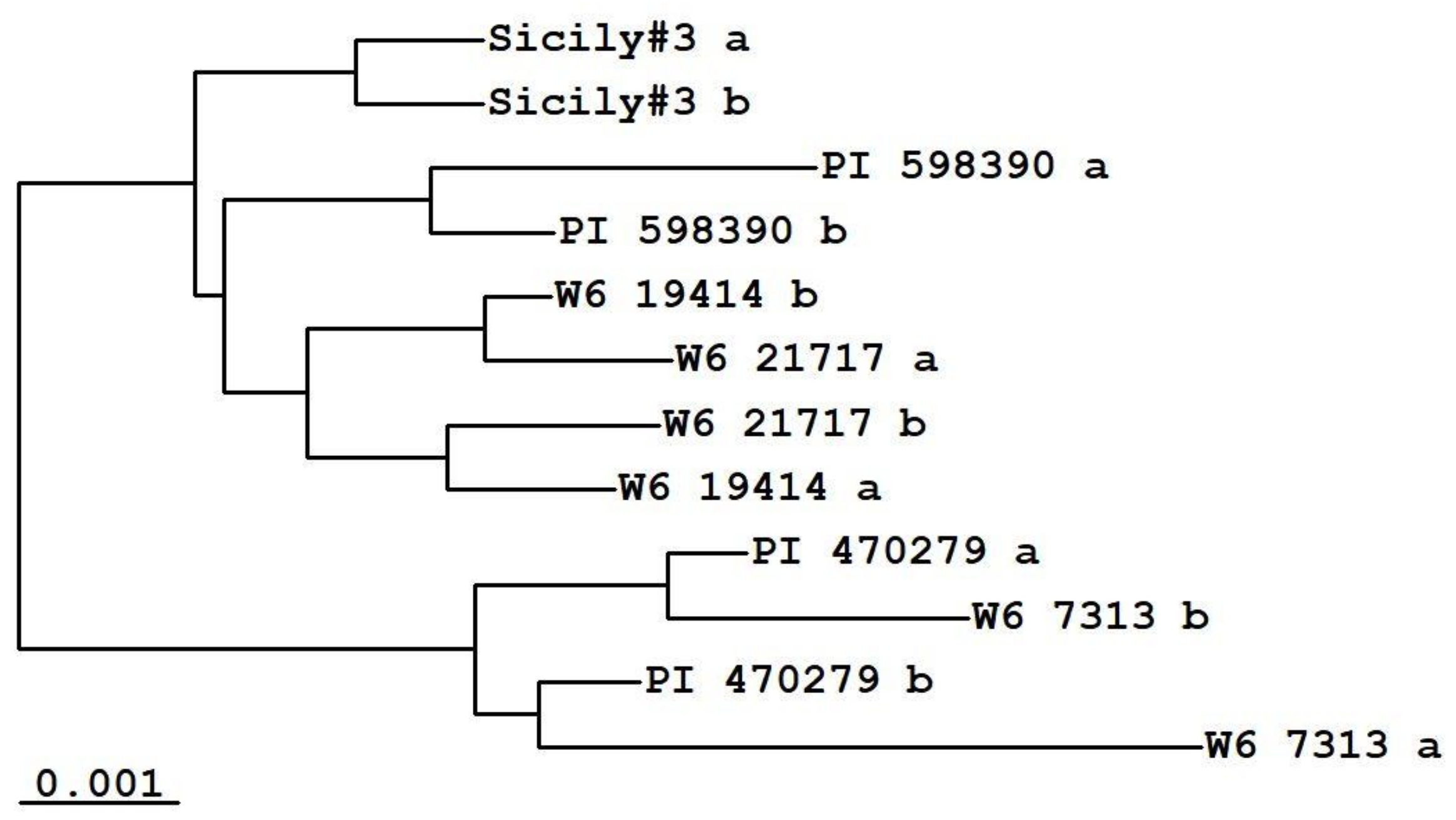 Plants 09 00186 g002 Plants 09 00186 g002