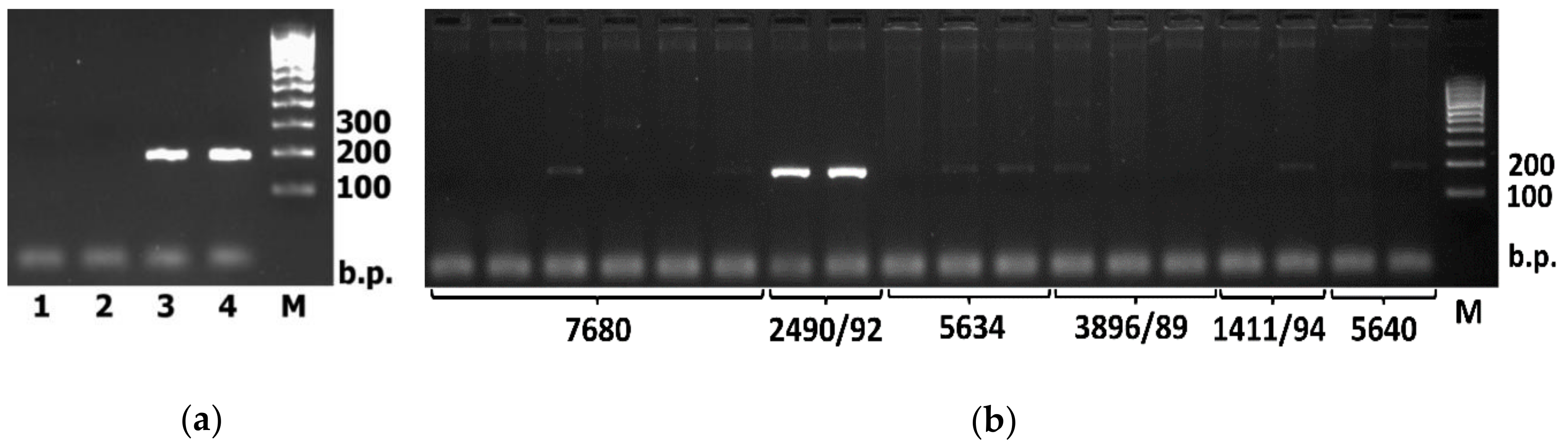 Plants 09 00186 g003 Plants 09 00186 g003