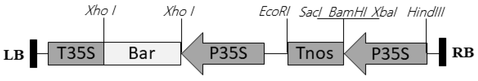 Plants 09 00191 g002