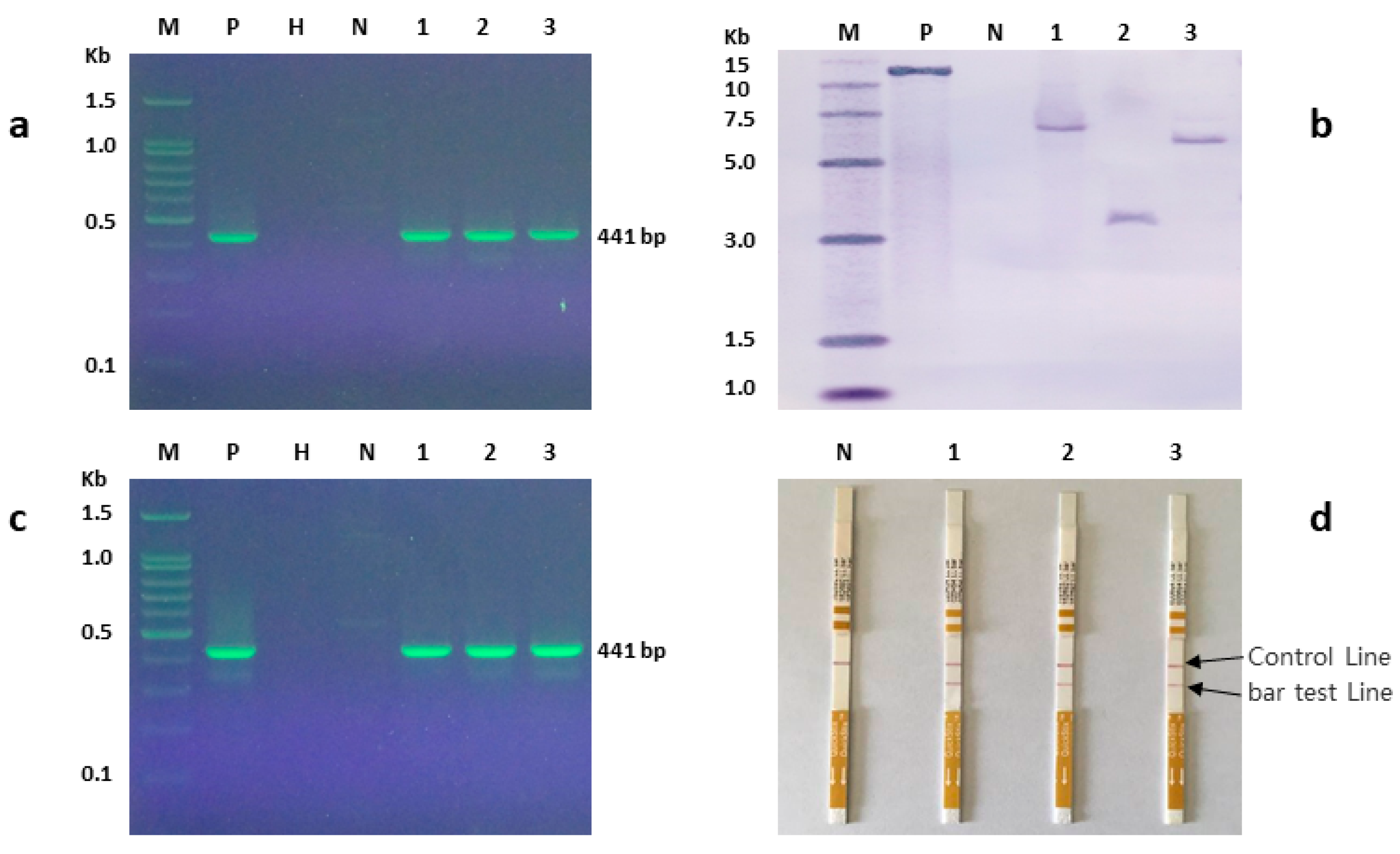 Plants 09 00191 g006