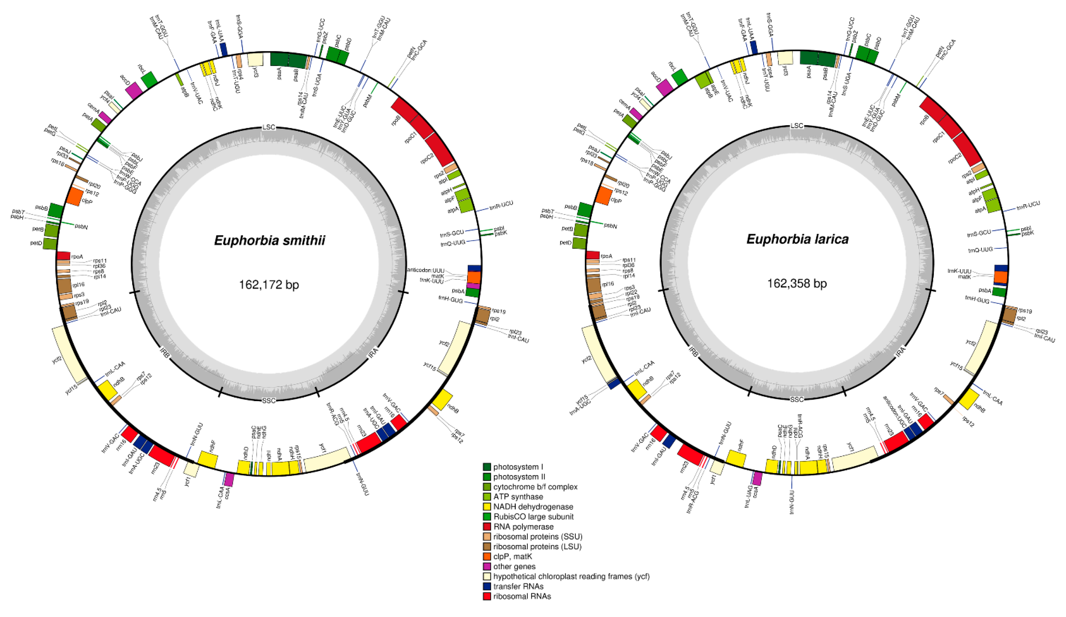 Plants 09 00199 g001 Plants 09 00199 g001