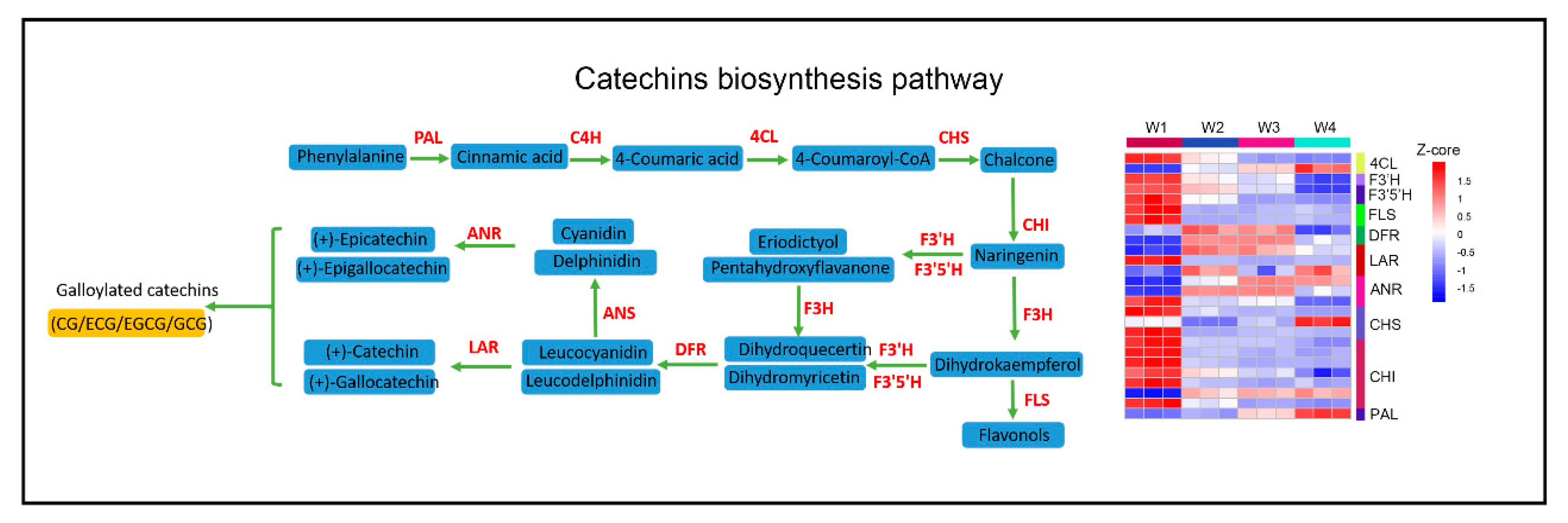 Plants 09 00204 g005 Plants 09 00204 g005