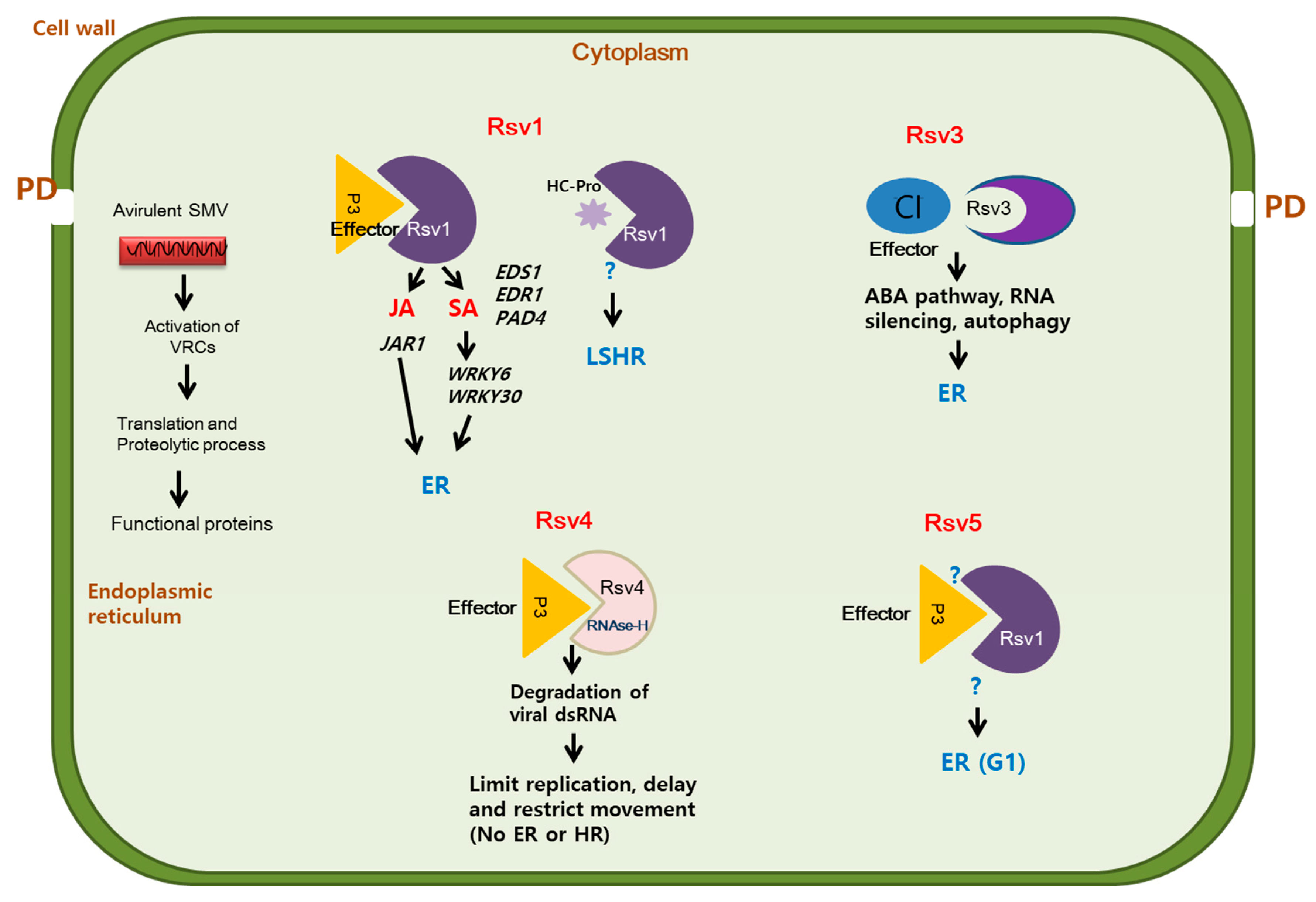 Plants 09 00219 g002