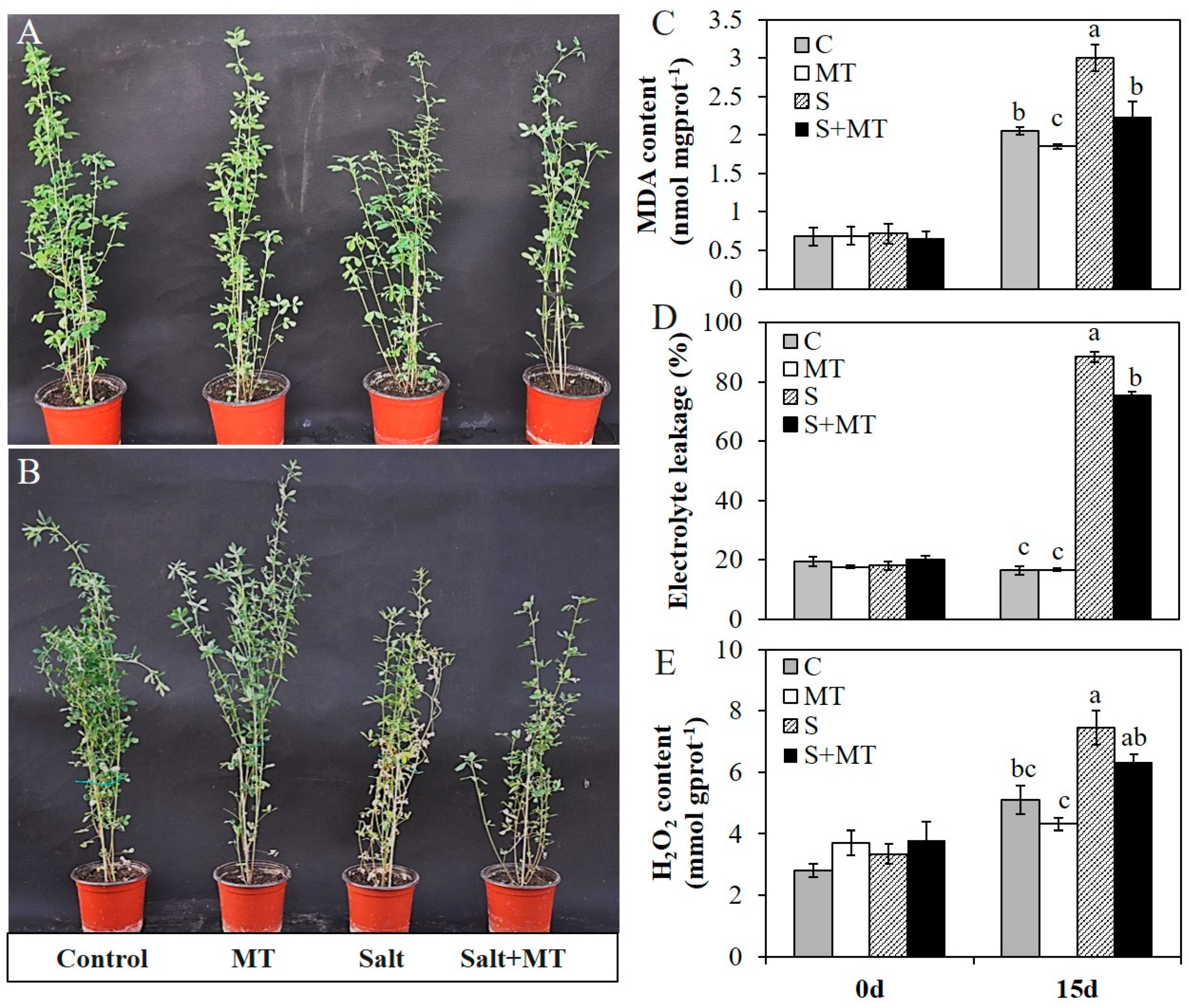 Plants 09 00220 g004 Plants 09 00220 g004