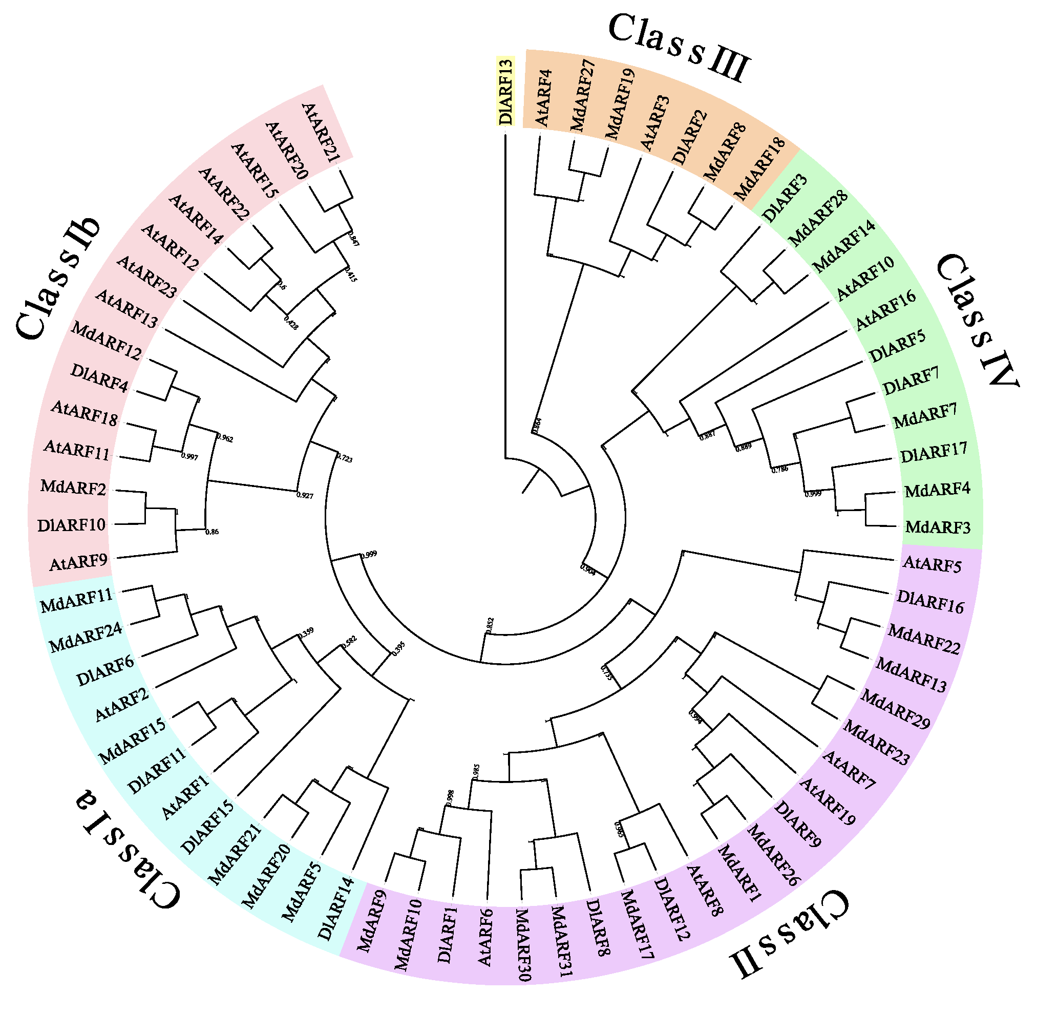 Plants 09 00221 g002