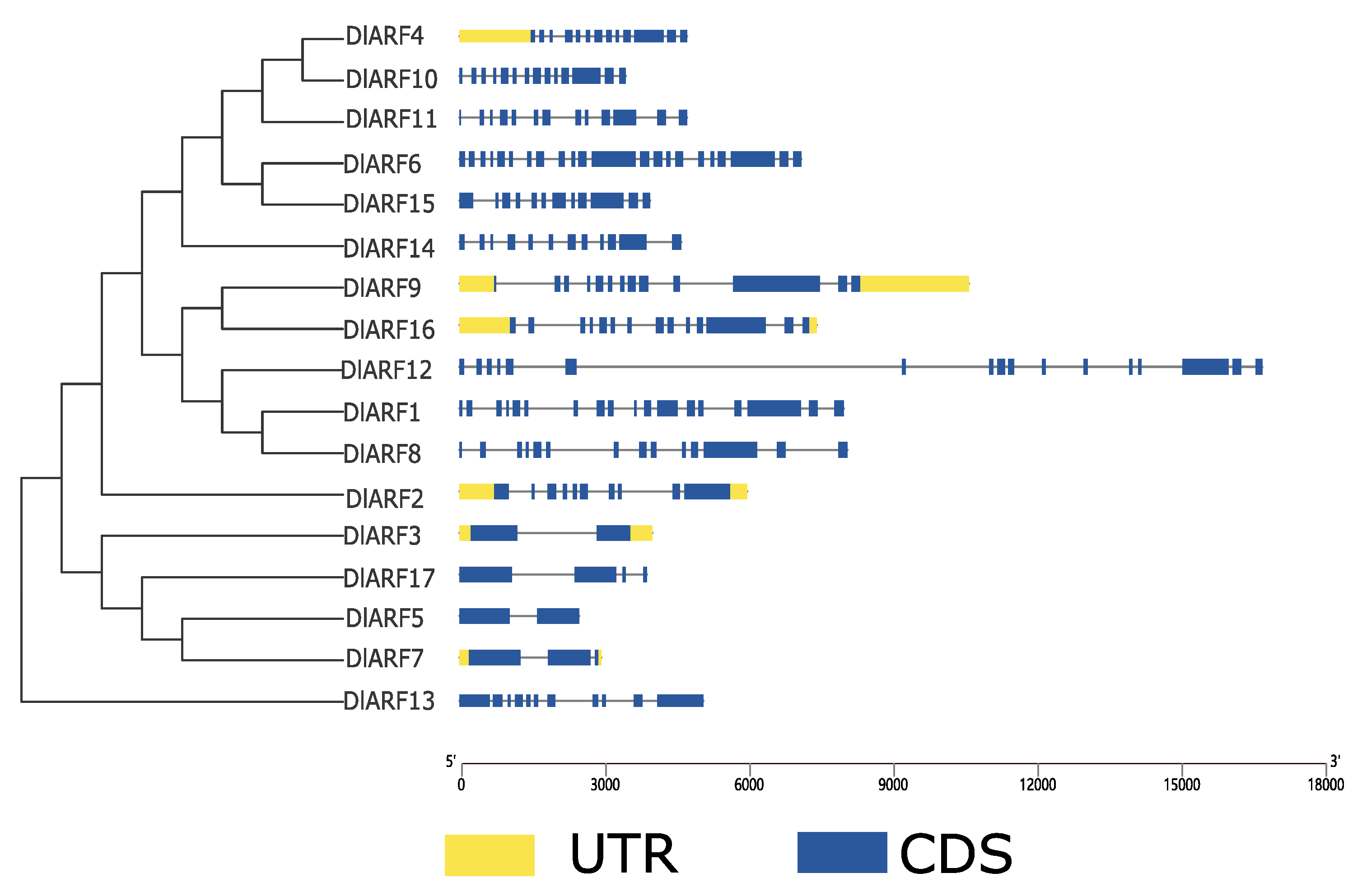 Plants 09 00221 g003