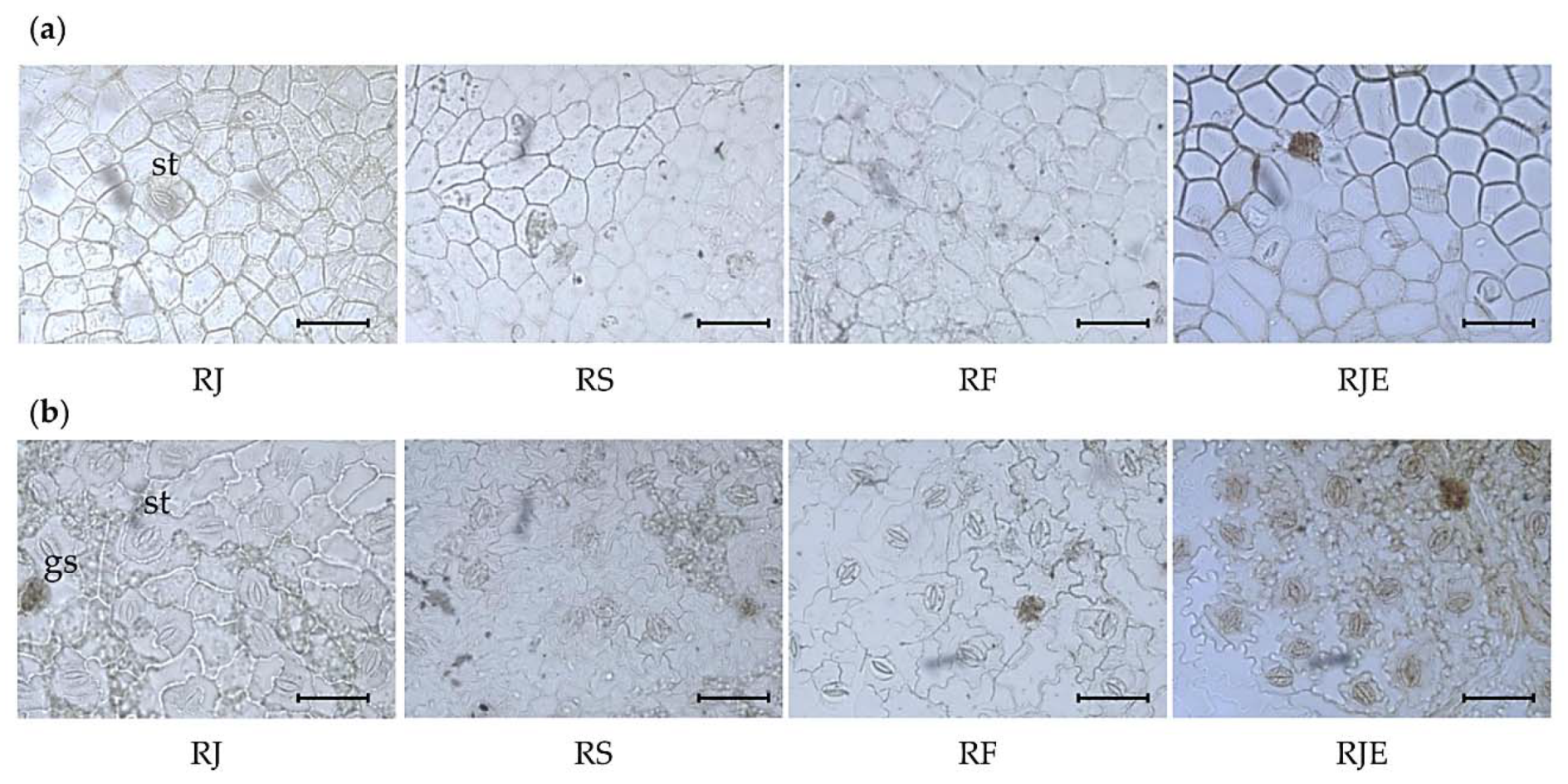 Plants 09 00222 g001 Plants 09 00222 g001