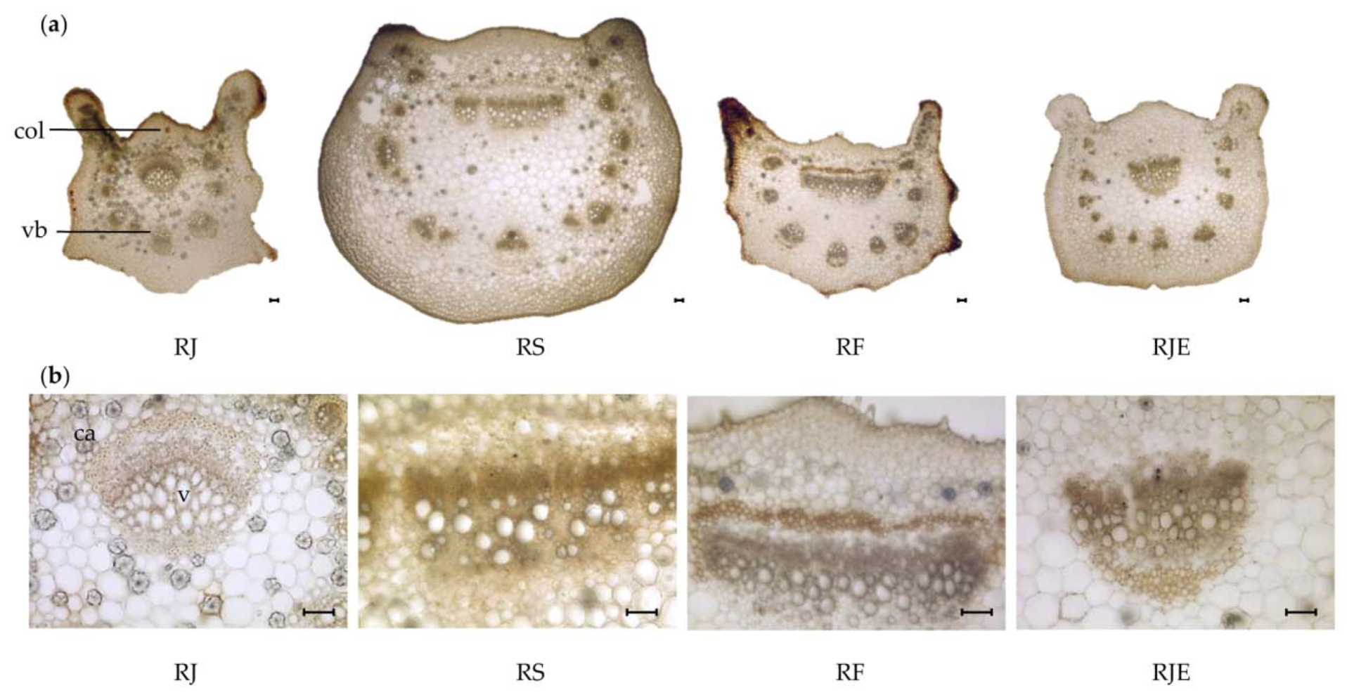 Plants 09 00222 g003 Plants 09 00222 g003