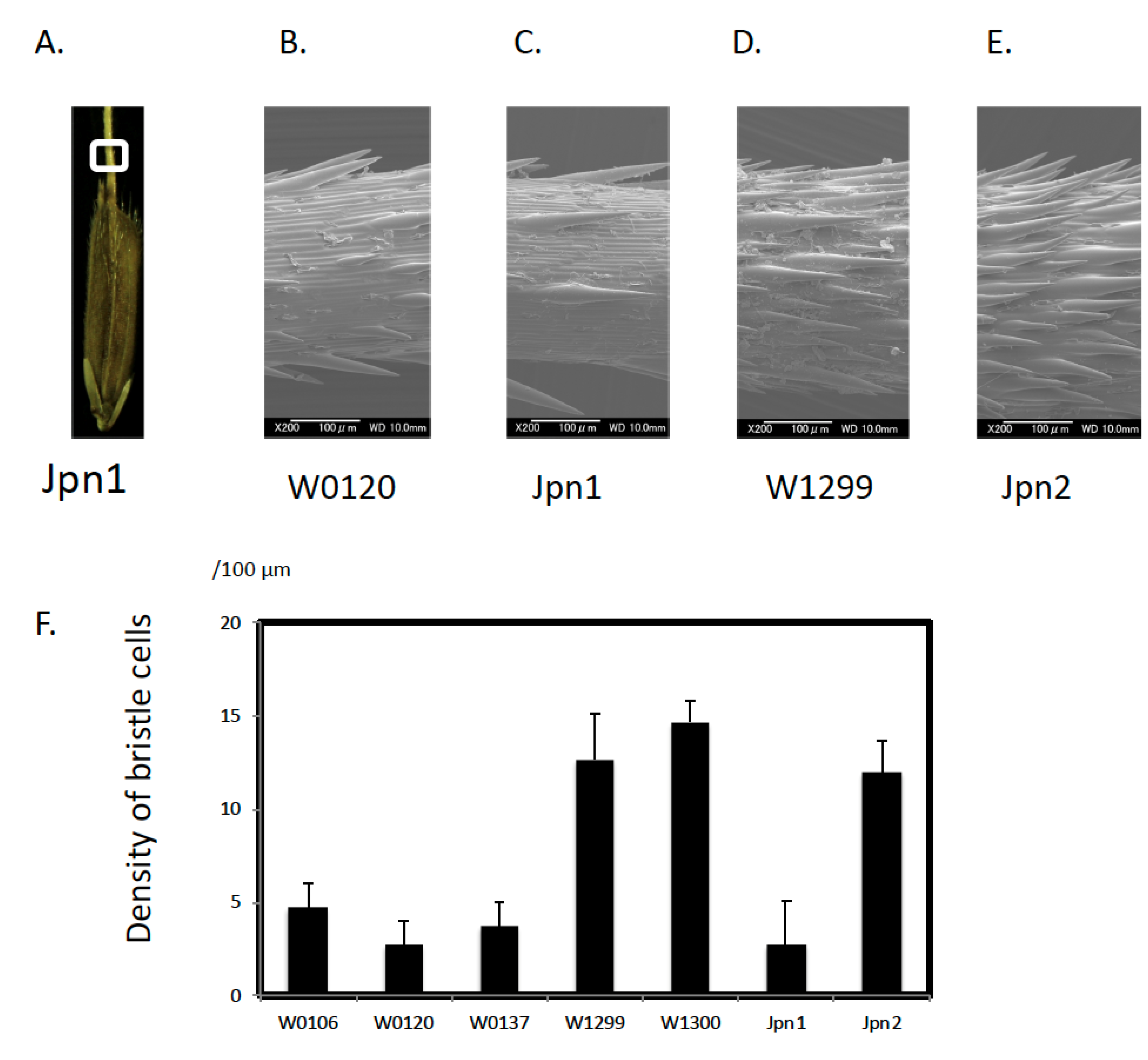 Plants 09 00224 g001 Plants 09 00224 g001