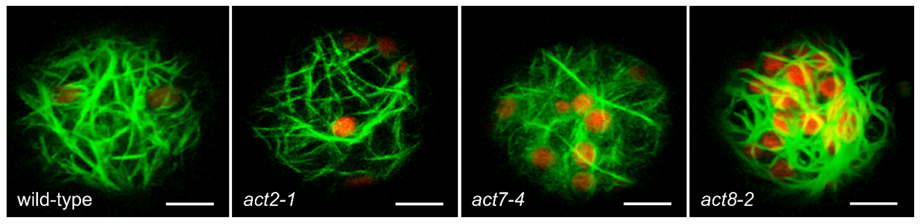 Plants 09 00225 g003 Plants 09 00225 g003