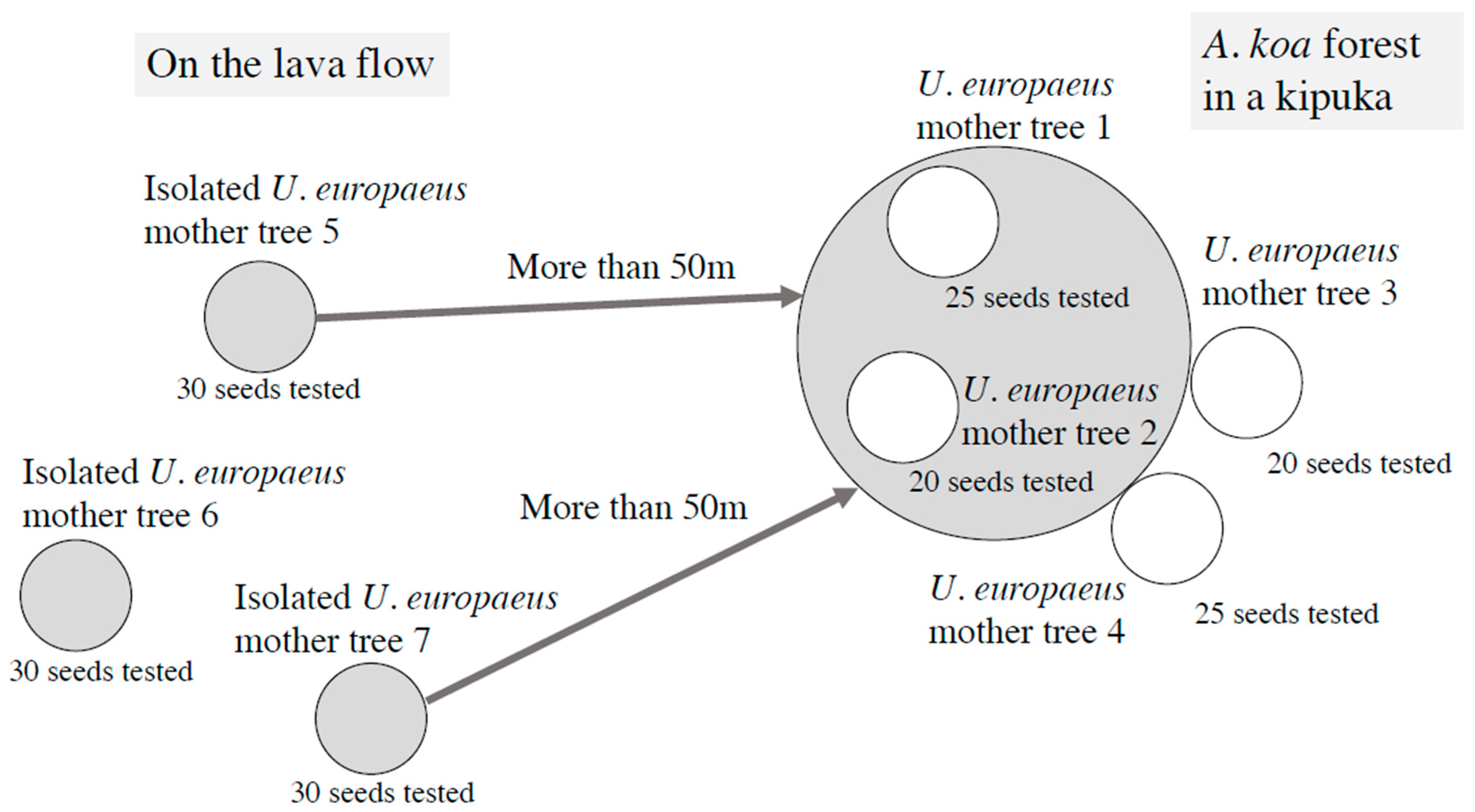 Plants 09 00226 g001