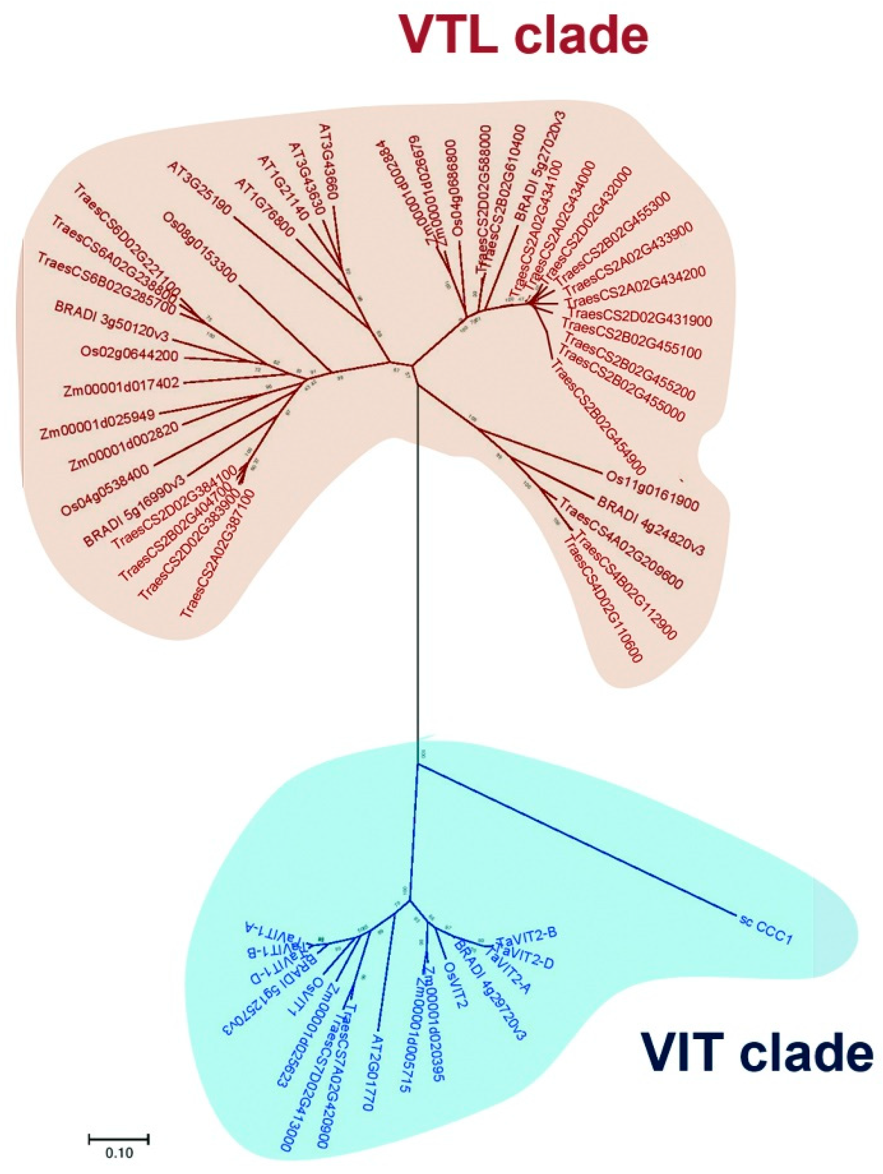 Plants 09 00229 g001 Plants 09 00229 g001