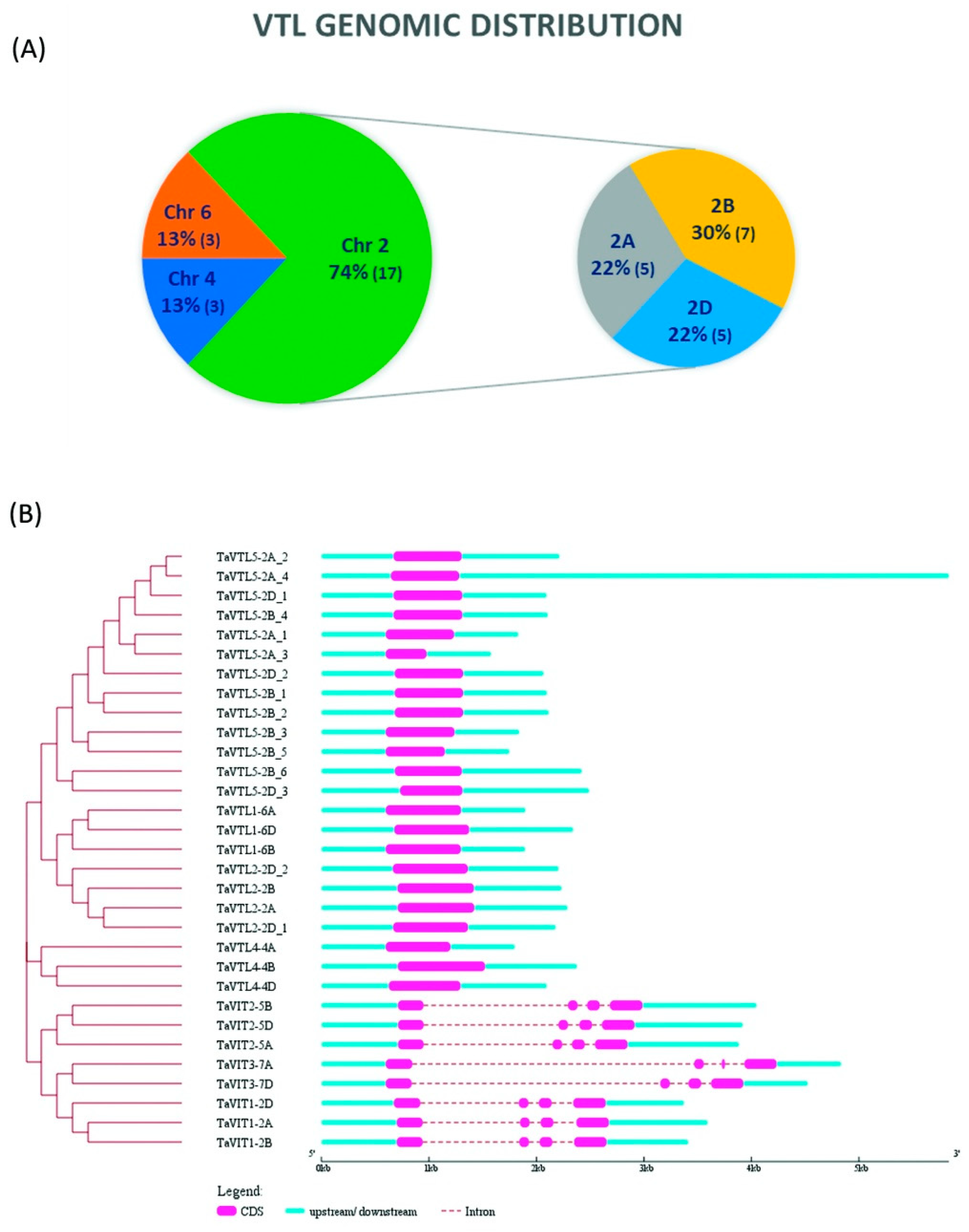 Plants 09 00229 g002 Plants 09 00229 g002