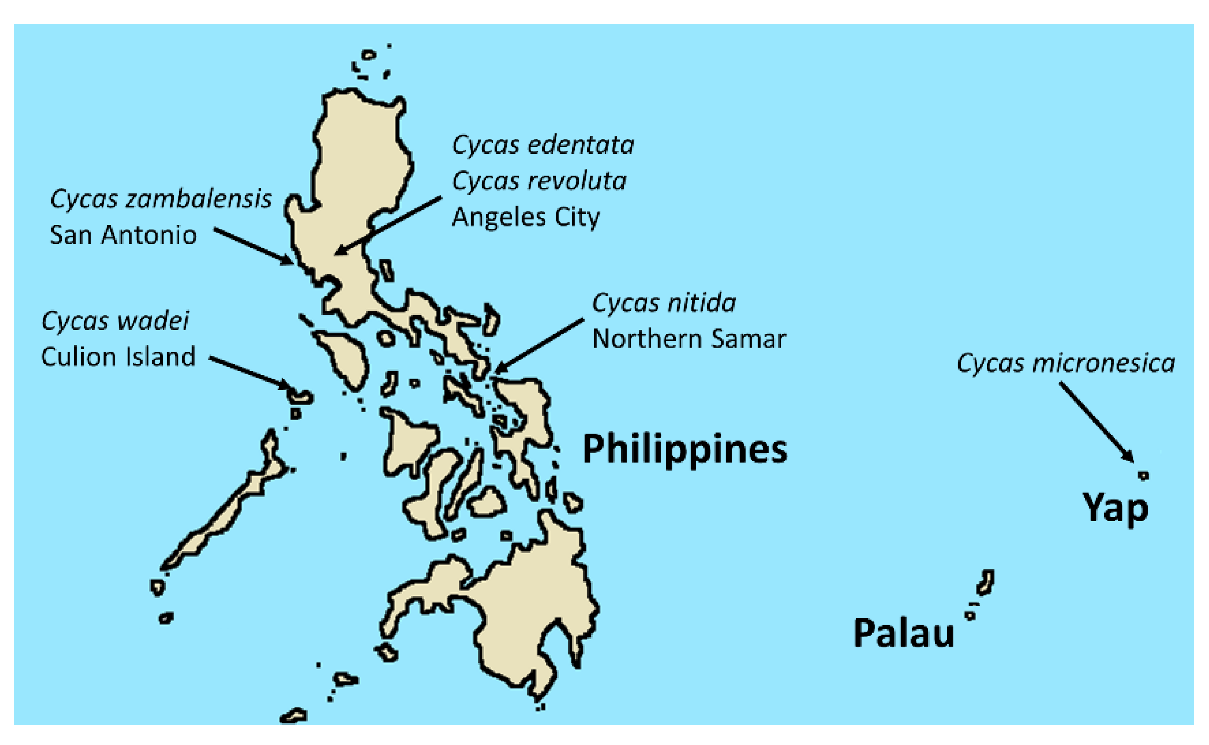 Plants 09 00230 g004